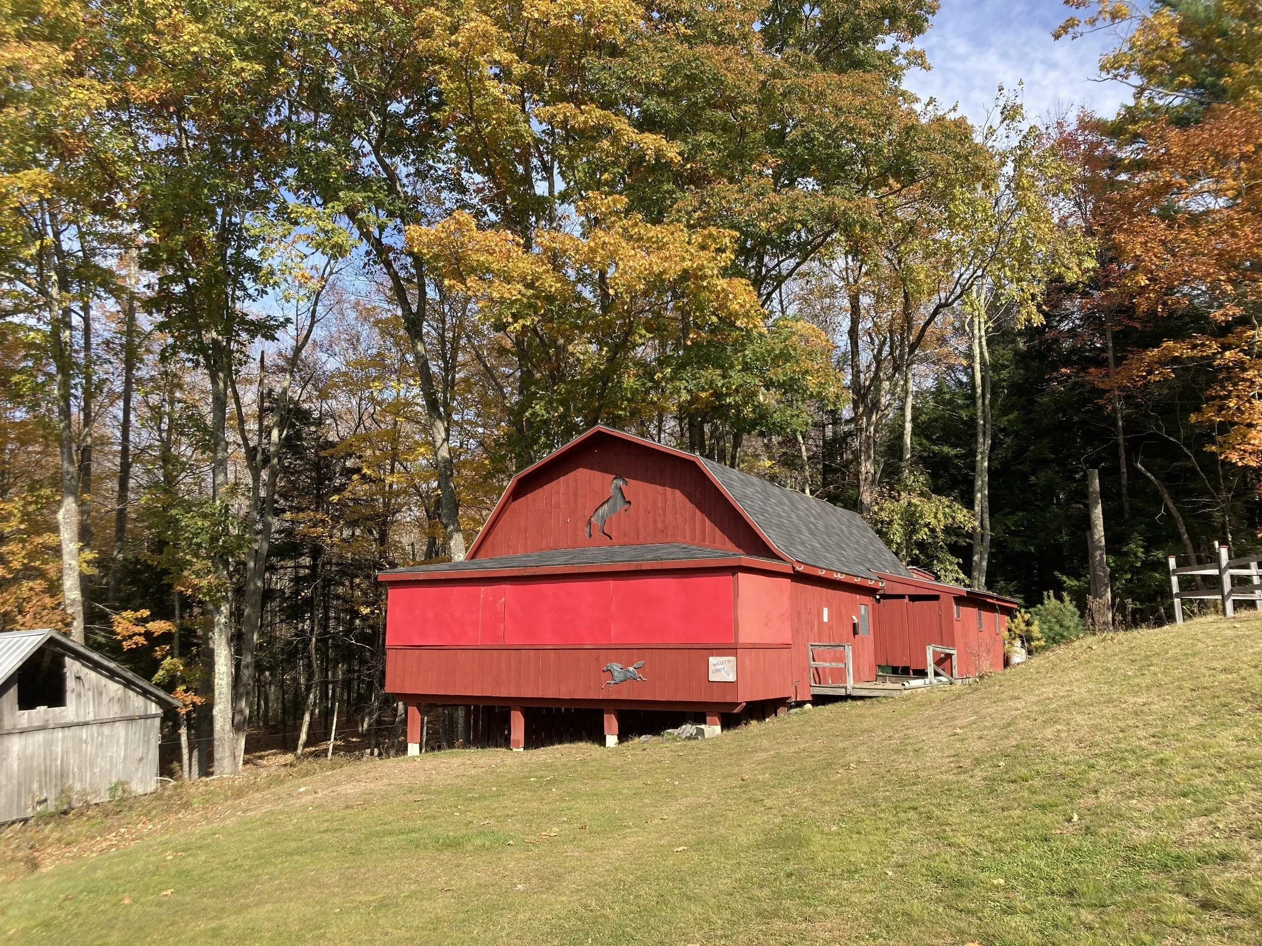 Red barn with a horse silhouette decoration in a wooded area with fall foliage.