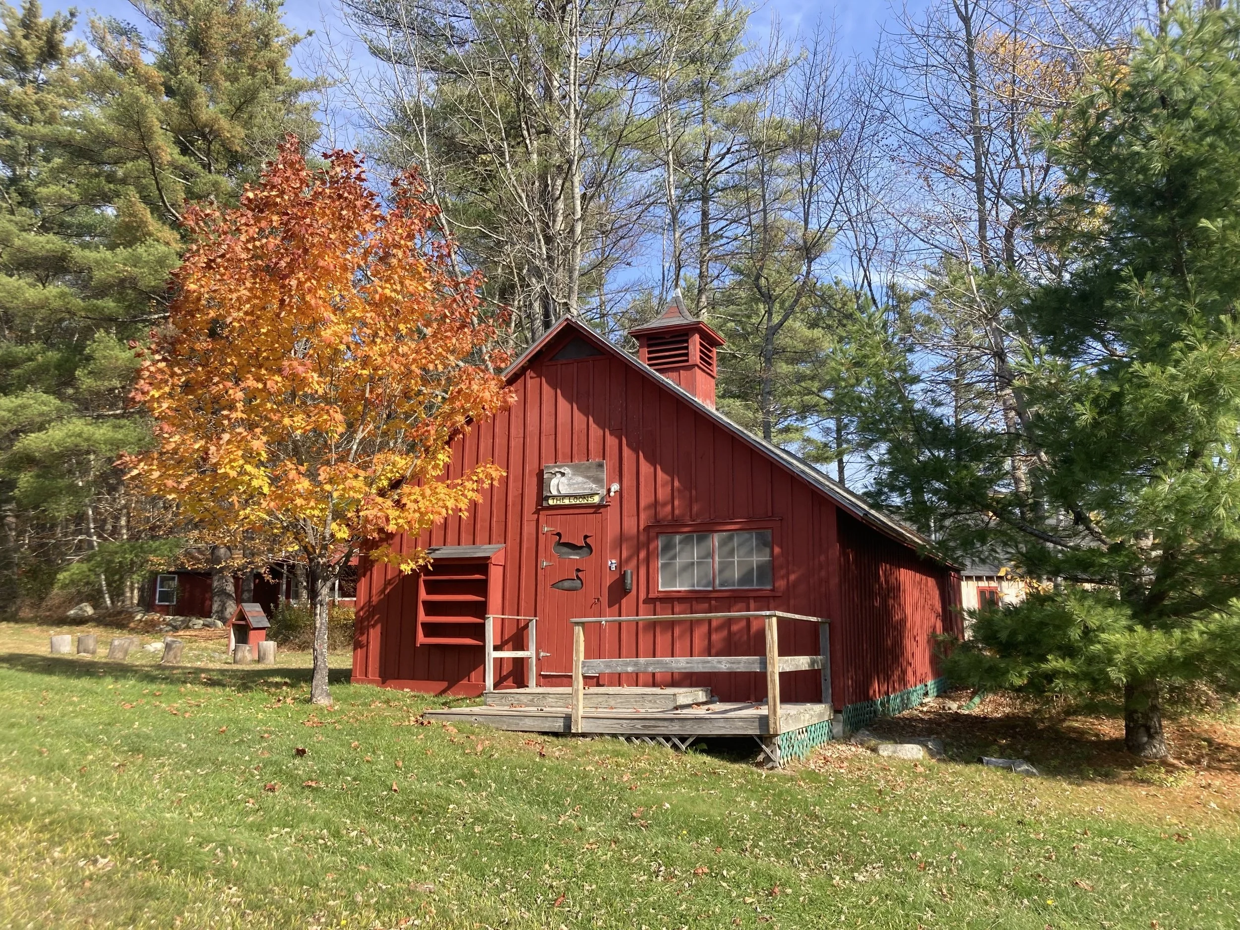 Red cabin with a small wooden porch, surrounded by green grass and trees with autumn foliage, under a blue sky.