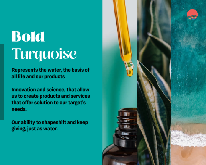 Miss Rizos - Brandbookpara portafolio-10.png