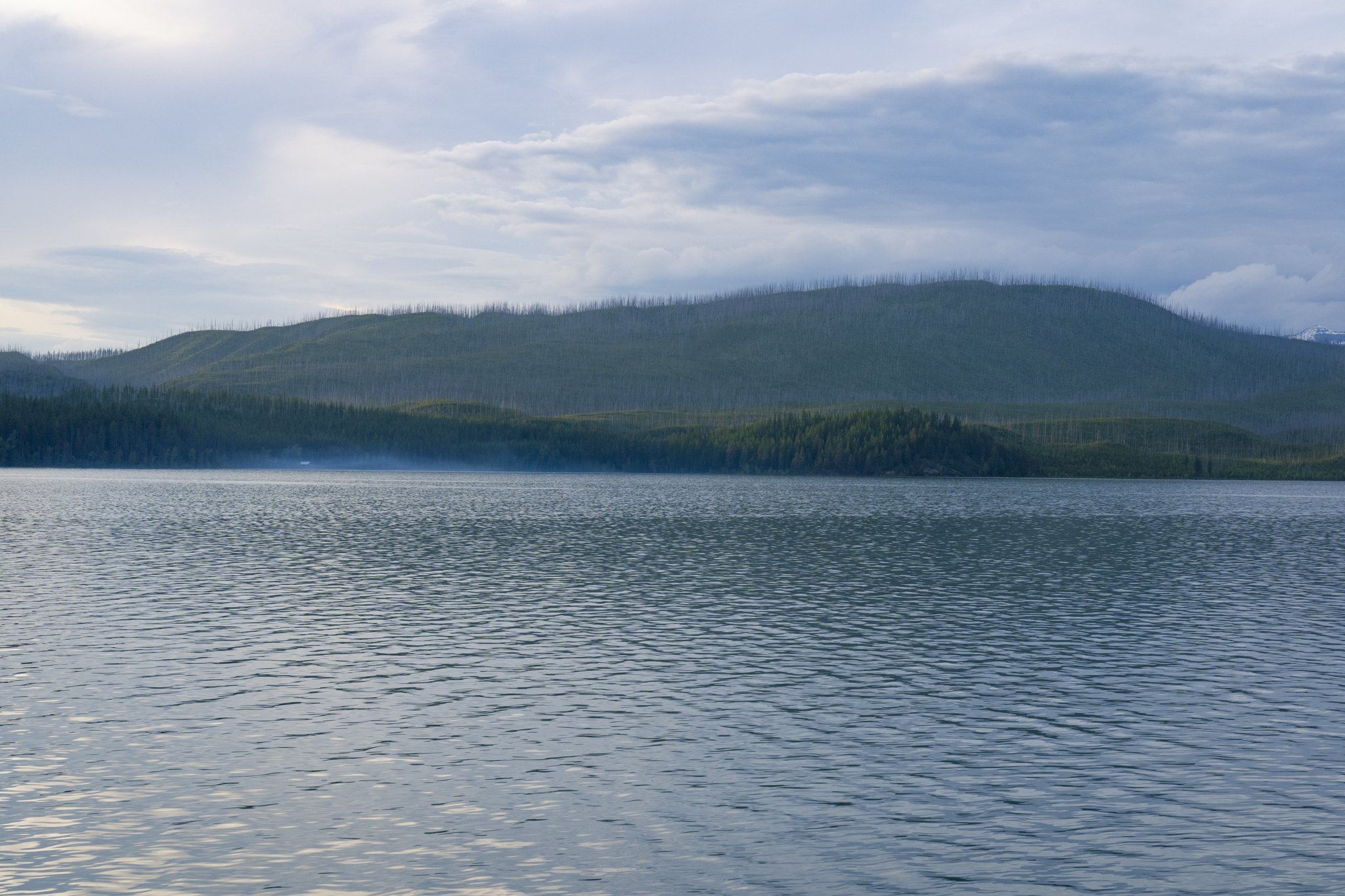 DSC08162.jpg