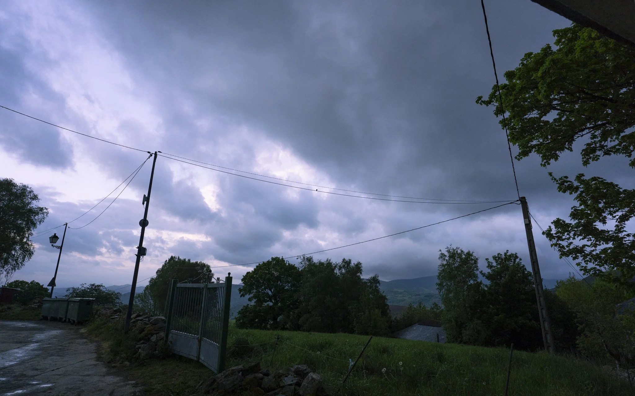 DSC06653.jpg