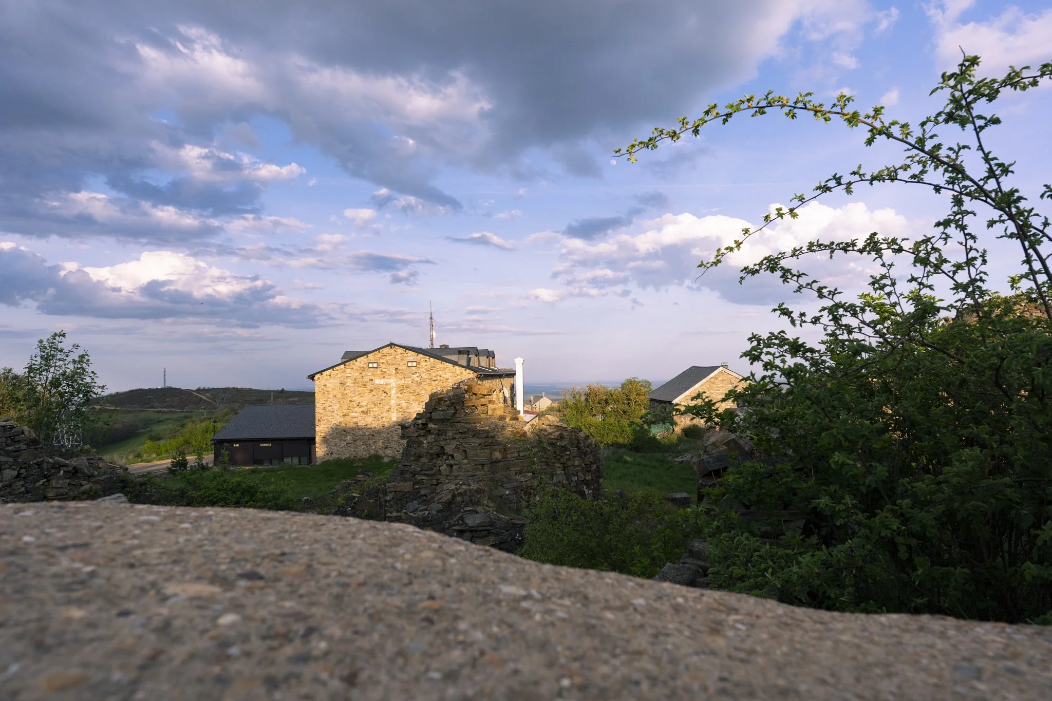 DSC06608.jpg