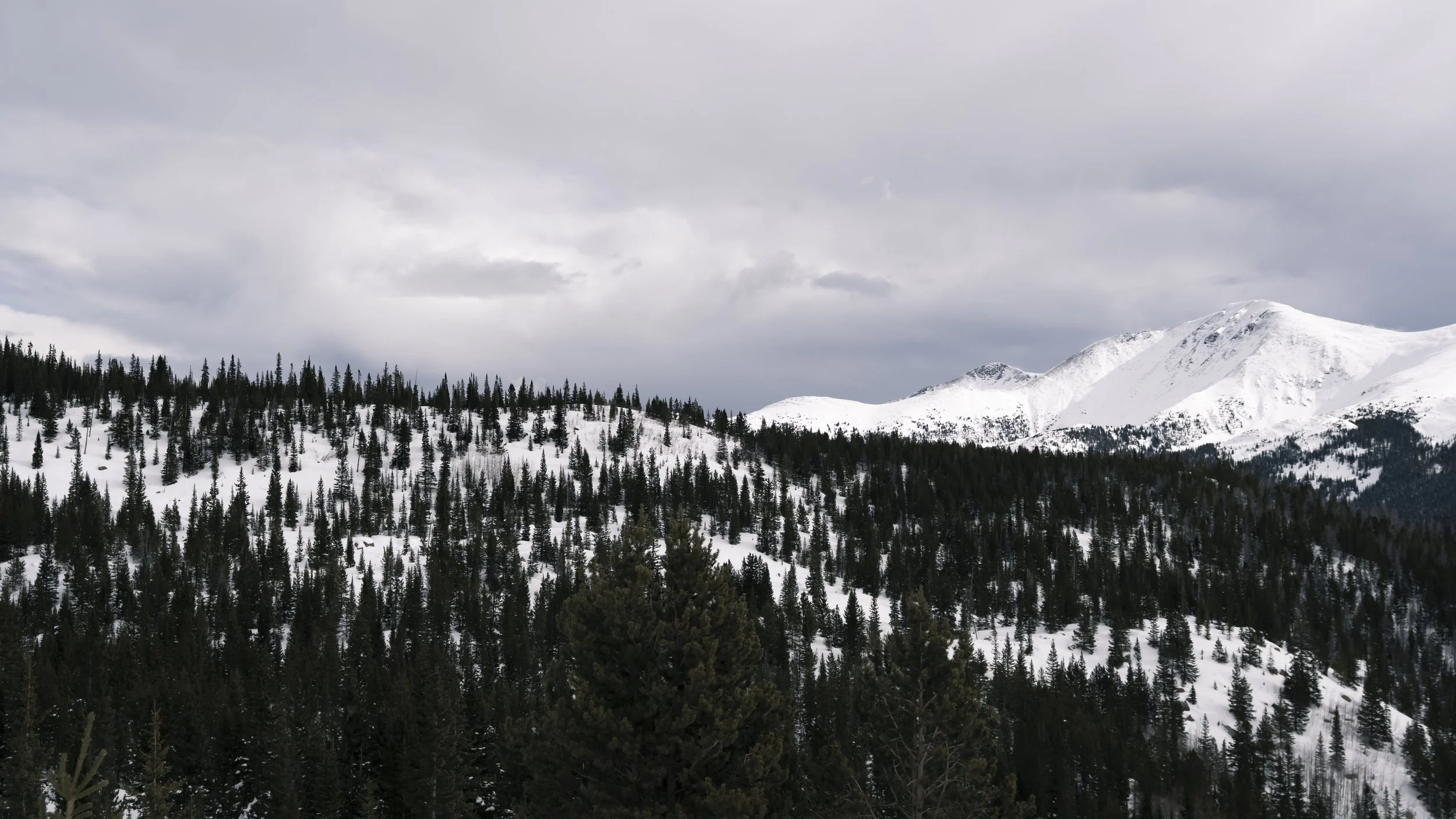Summer-08727.jpg