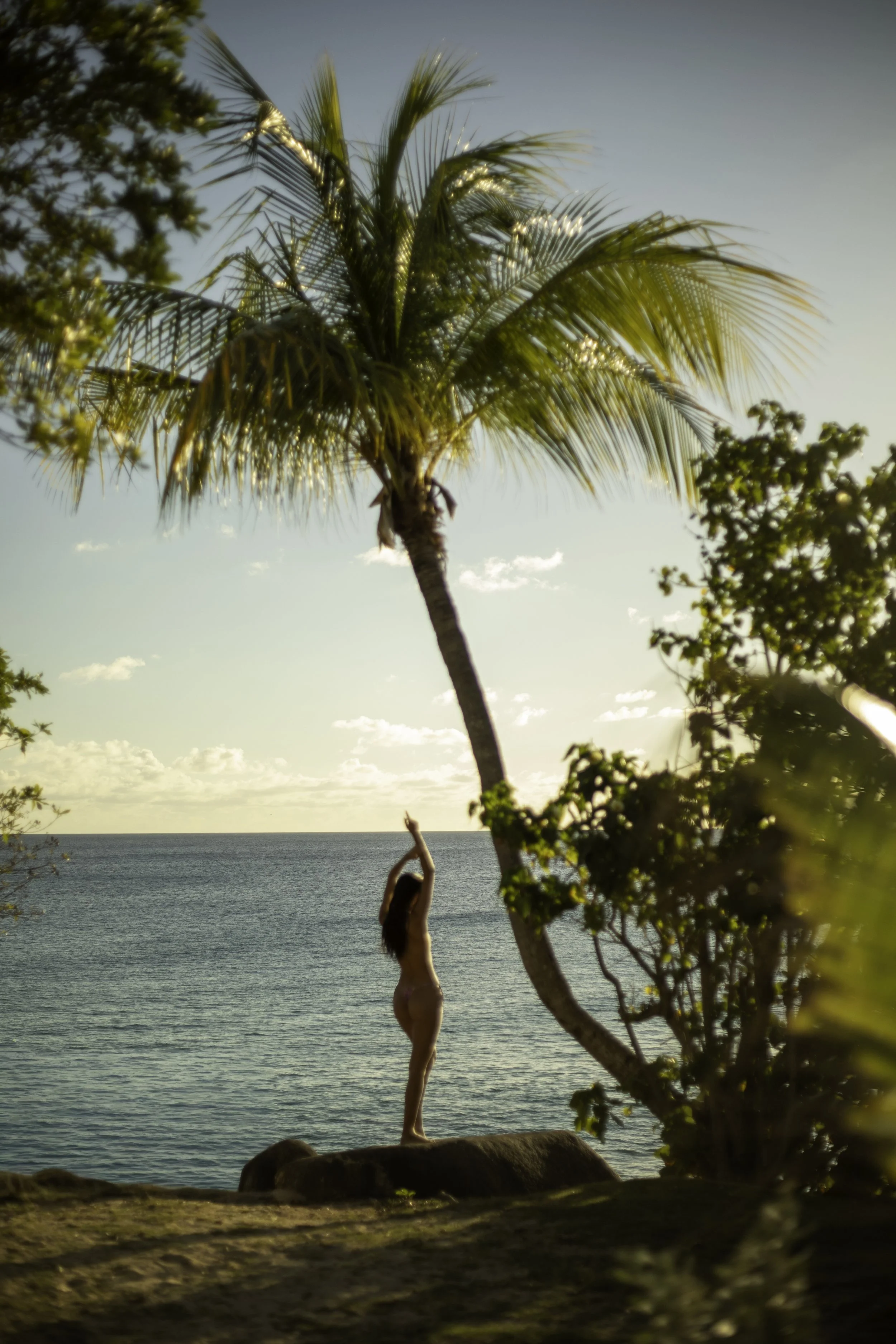 A woman in a bikini standing on a rock under a tall palm tree, by the ocean, with a clear sky overhead. Caribbean island of Sint Maarten /Saint Martin. Hotel Belmond La Samanna