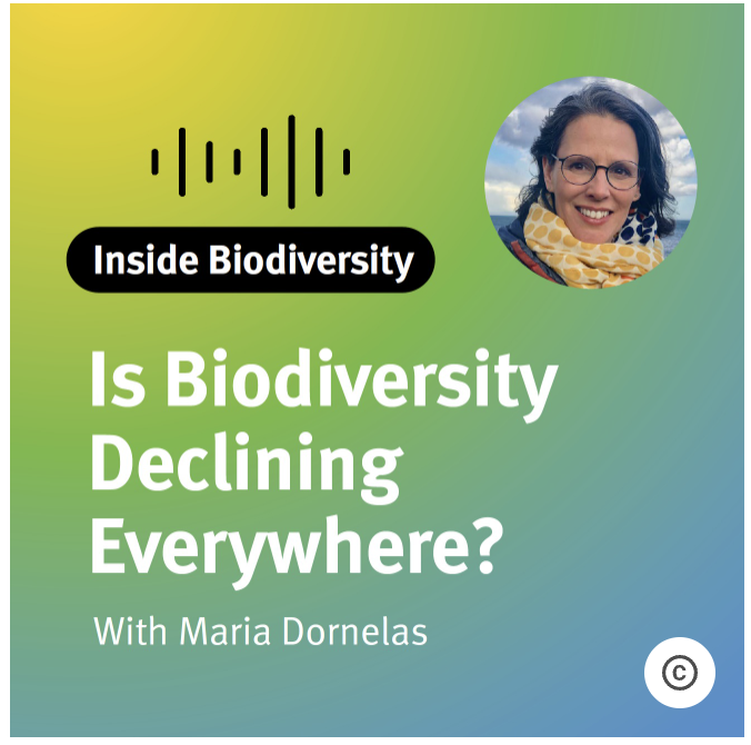 Inside Biodiversity Podcast premieres April 3 with Maria Dornelas