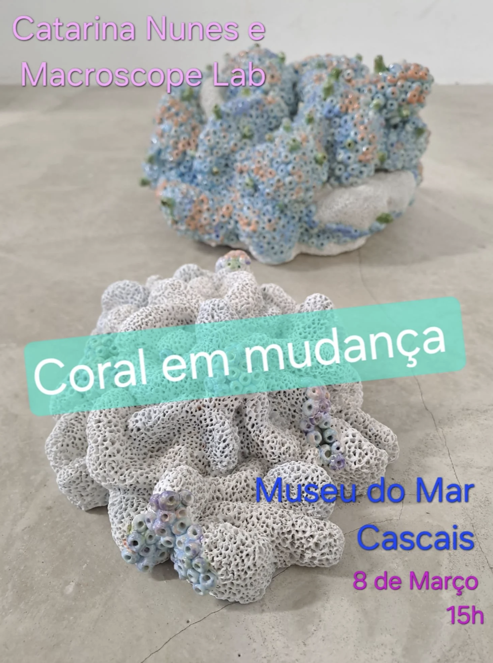 Coral Change Exhibition at Museu do Mar, Cascais
