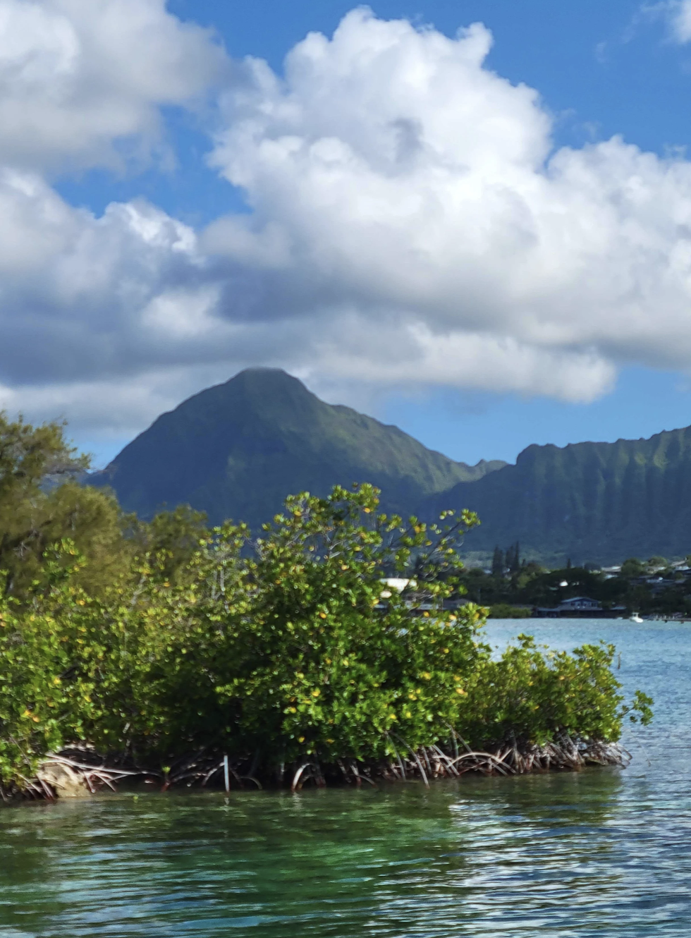 Field trip to O’ahu, Hawai’i