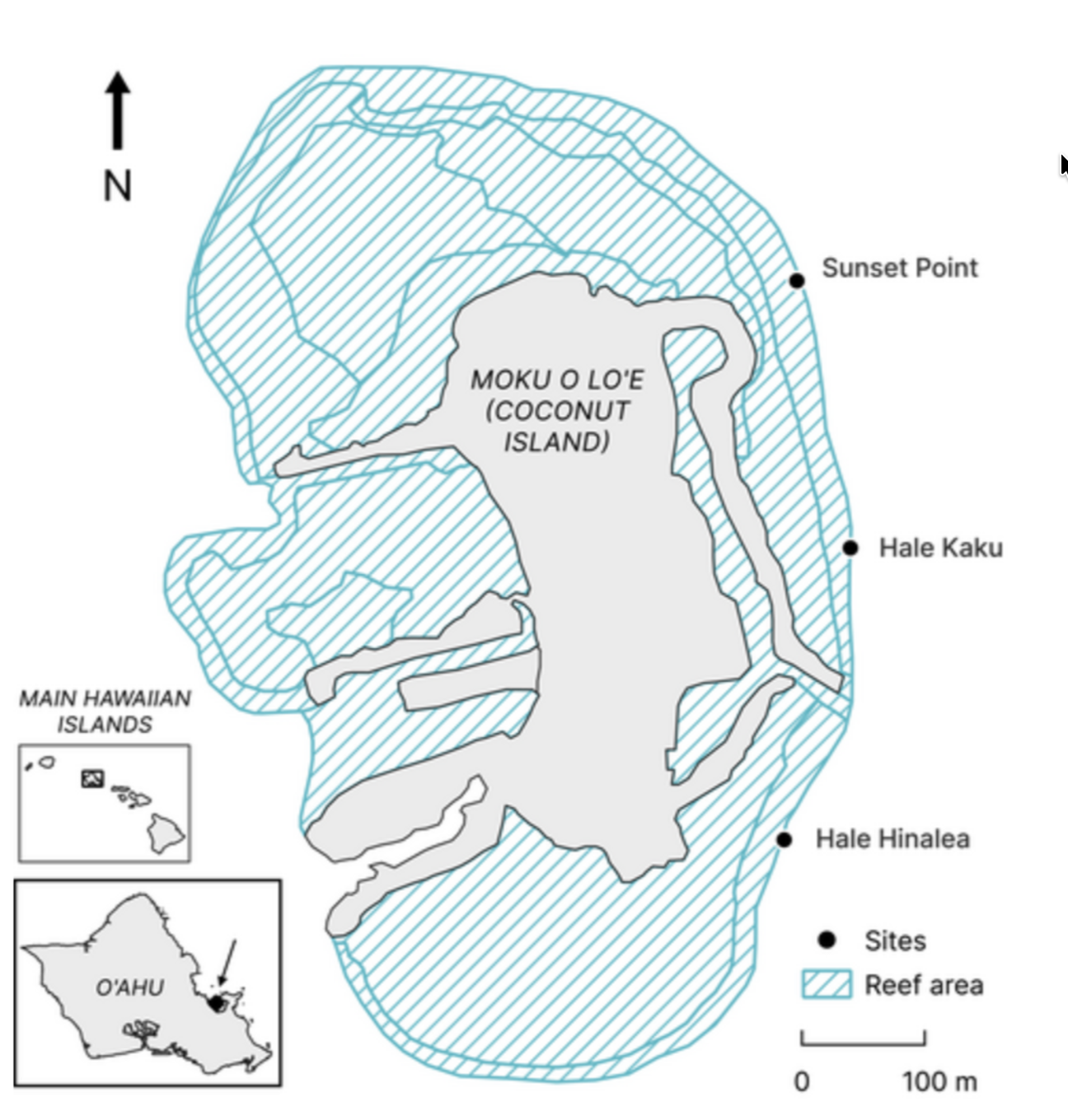 Cher’s last paper on reef fish abundance is now published