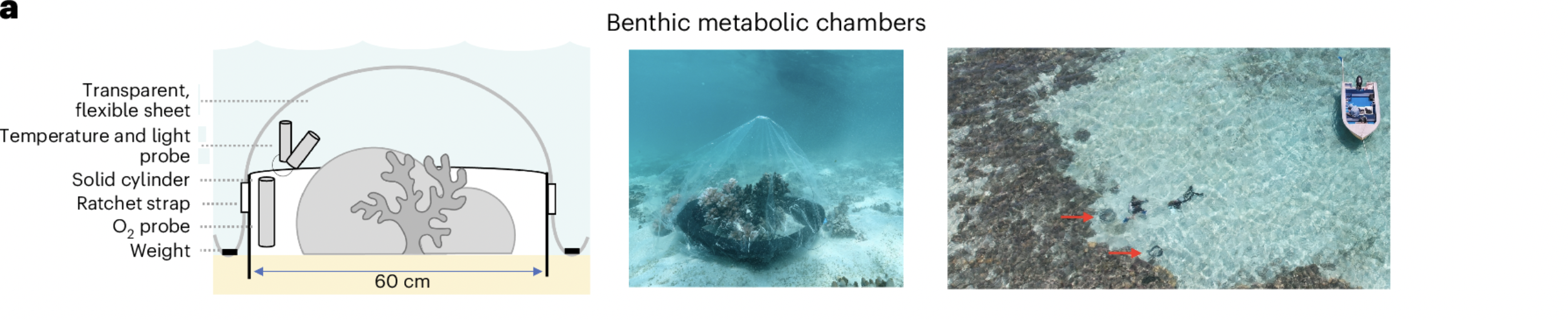 Using benthic metabolic chambers to investigate reefs