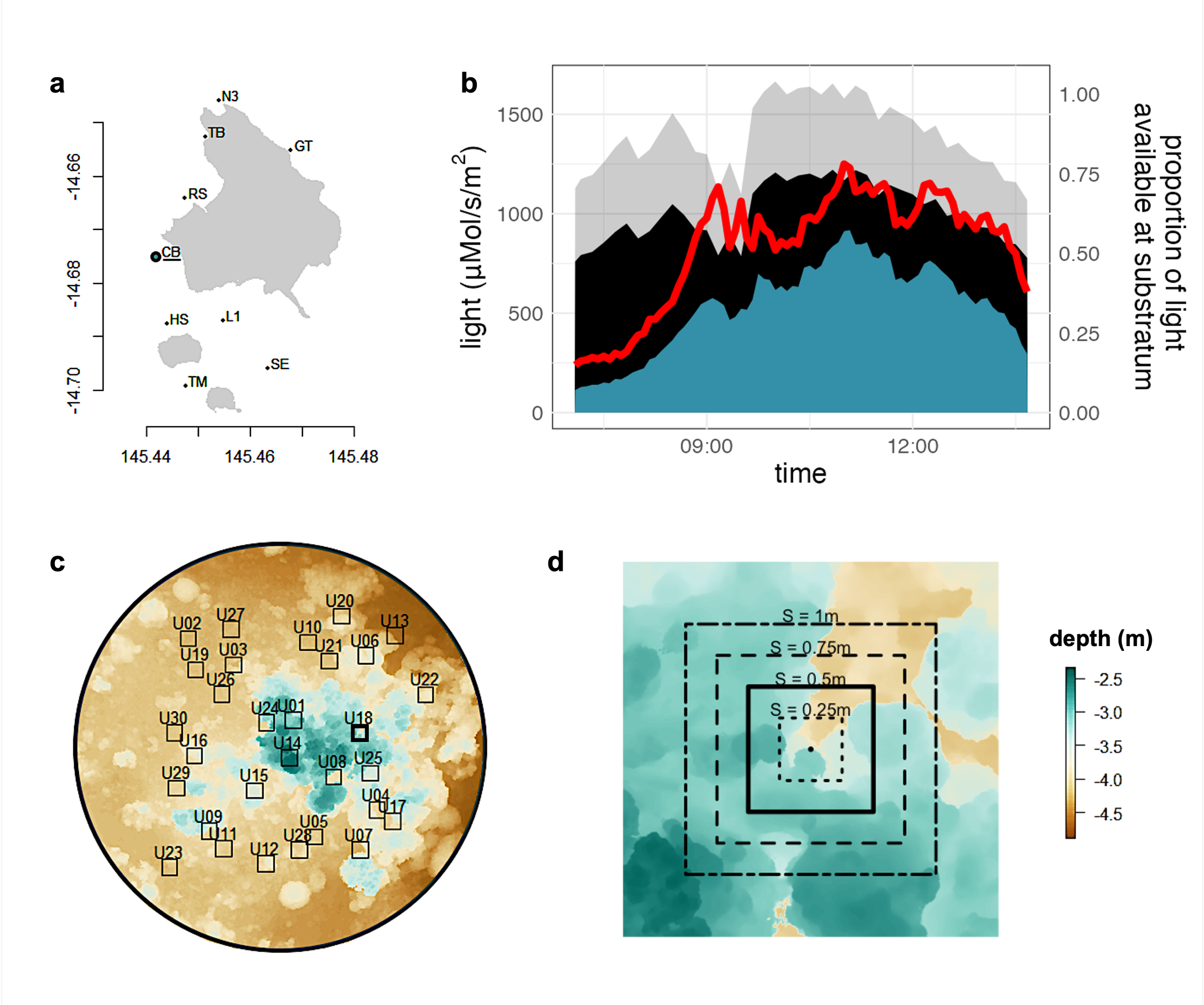 “Coral reef habitat complexity decreases and diversifies local availability of light”