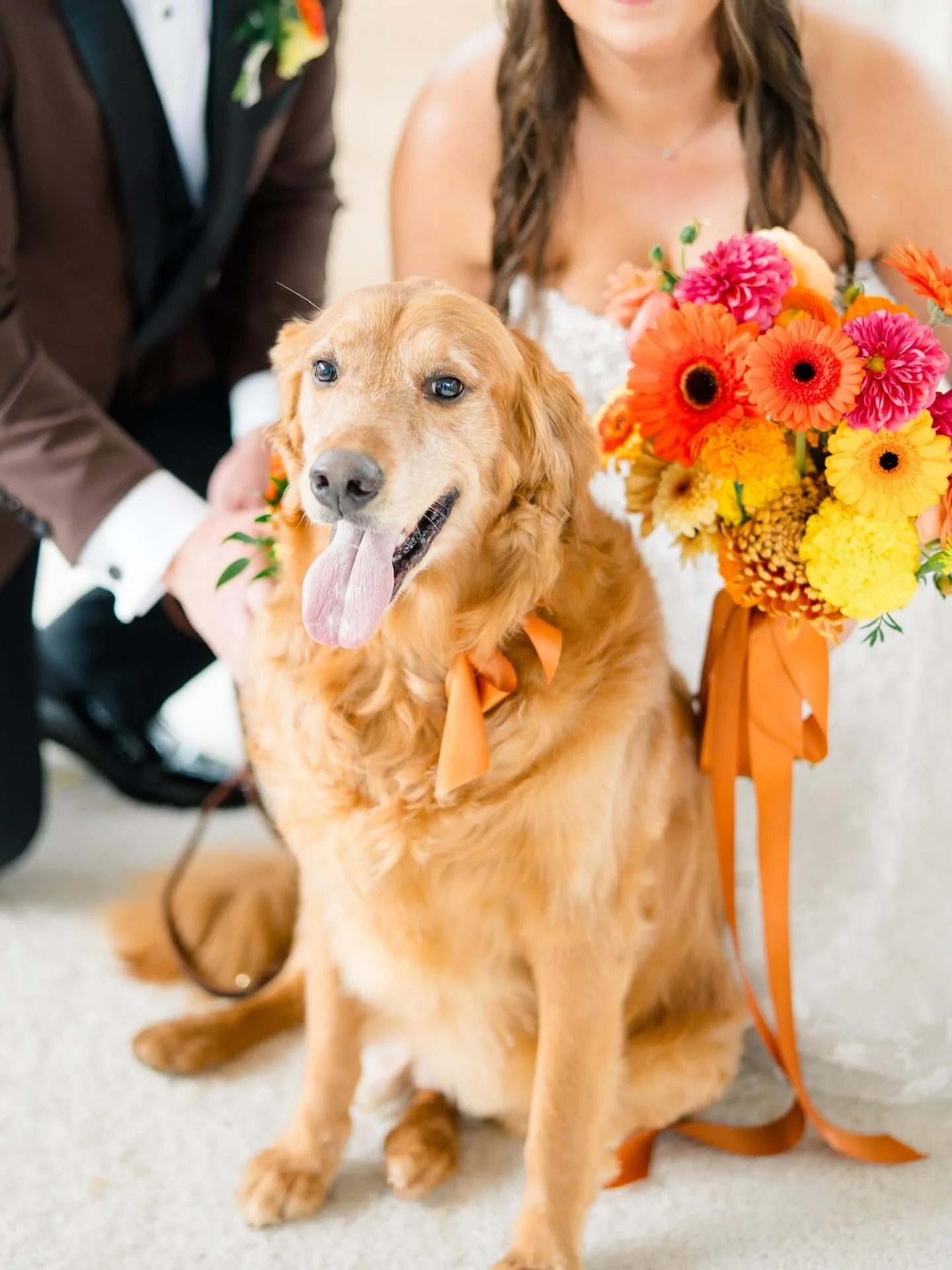 Petition to always have doggos at weddings 🫶🏼🥹

#dallaswedding #fortworthwedding #centraltexasweddings #texaswedding #realwedding #fallwedding #winterwedding #springwedding #summerwedding #weddingday #weddingflorist #florist #texasflorist #dallasf