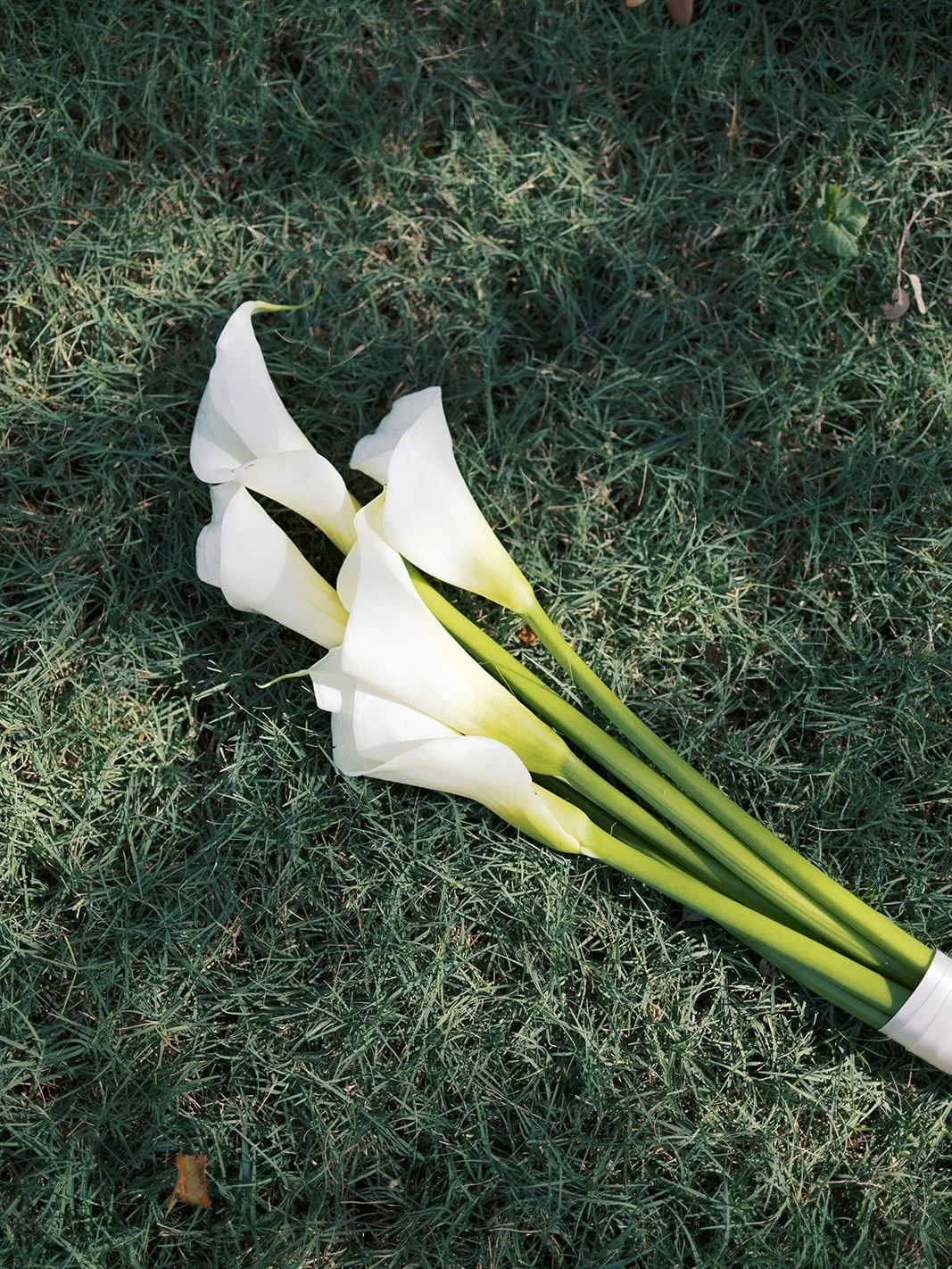 A moment for ✨her✨ please

Dallas wedding fort worth wedding central Texas weddings Texas wedding styled shoot styled wedding wedding fall wedding winter wedding spring wedding summer wedding wedding day #weddingflorist #florist #texasflorist Dallas 