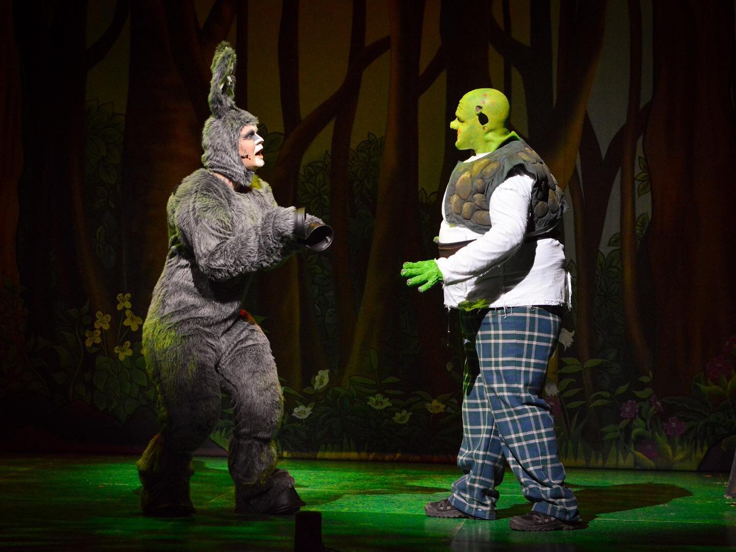&lsquo;Shrek the Musical&rsquo; at the Theatre Royal Nottingham for Carlton Operatic Society.
