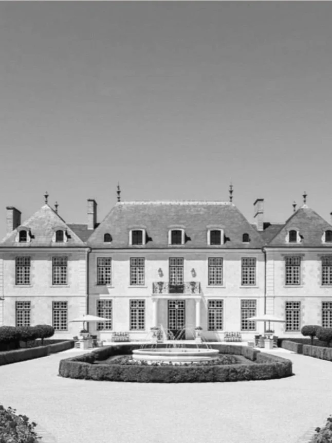 THE CONDOR ESTATE - Creative Direction | Social Strategy | Content Creation 