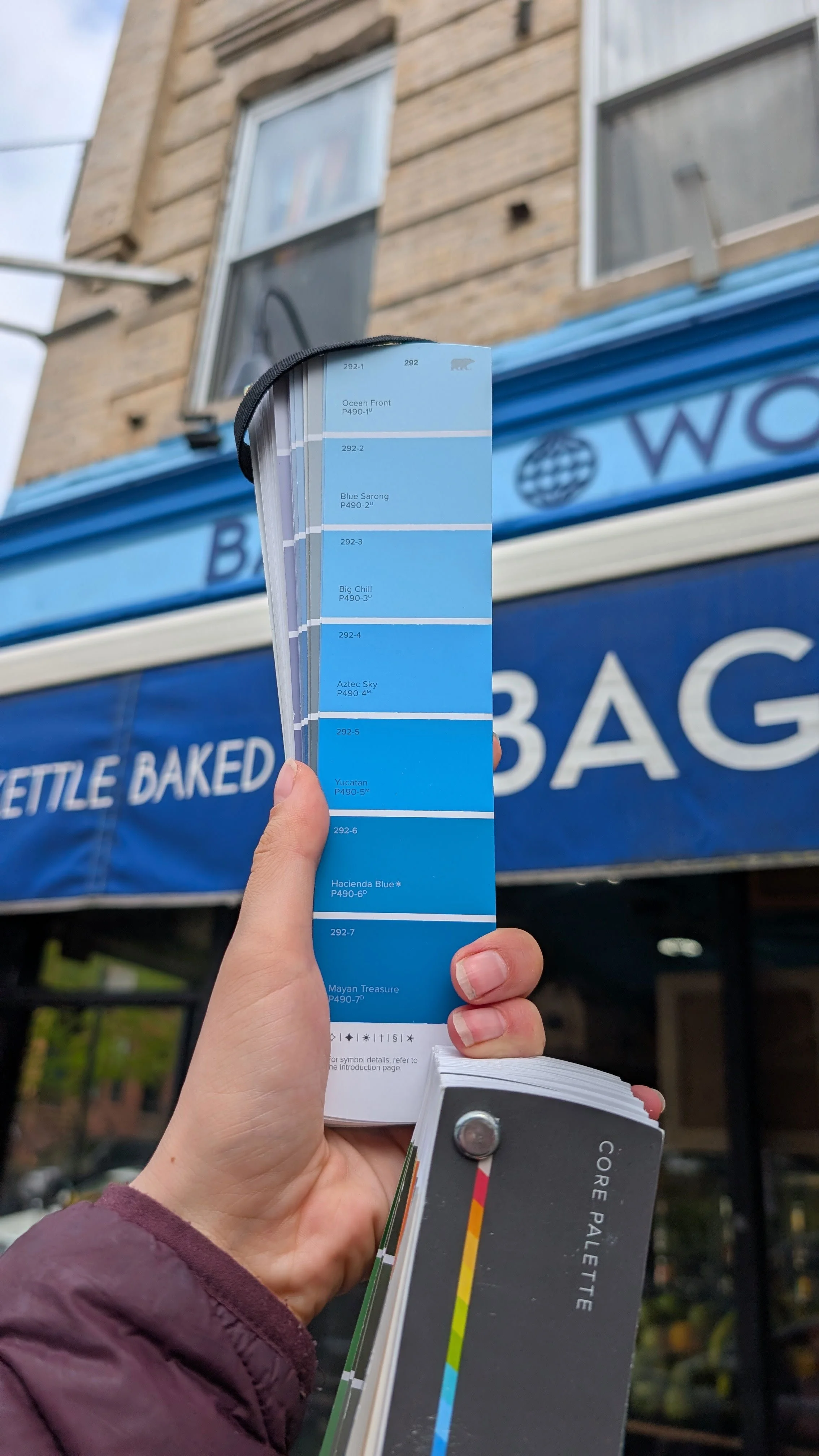 blue-colour-swatch-taken-from-store-front.jpg
