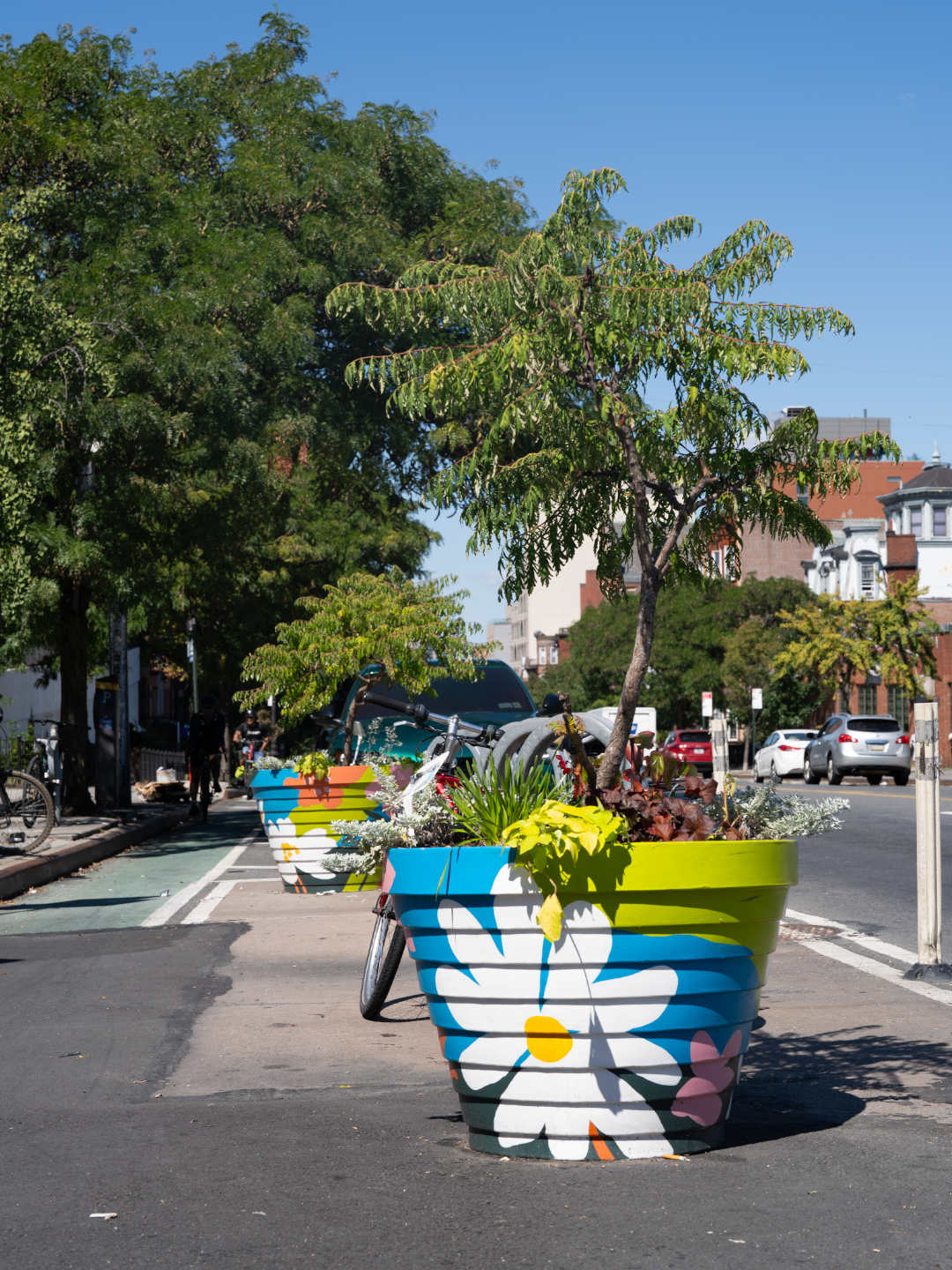 two-colourful-botanic-planters.png