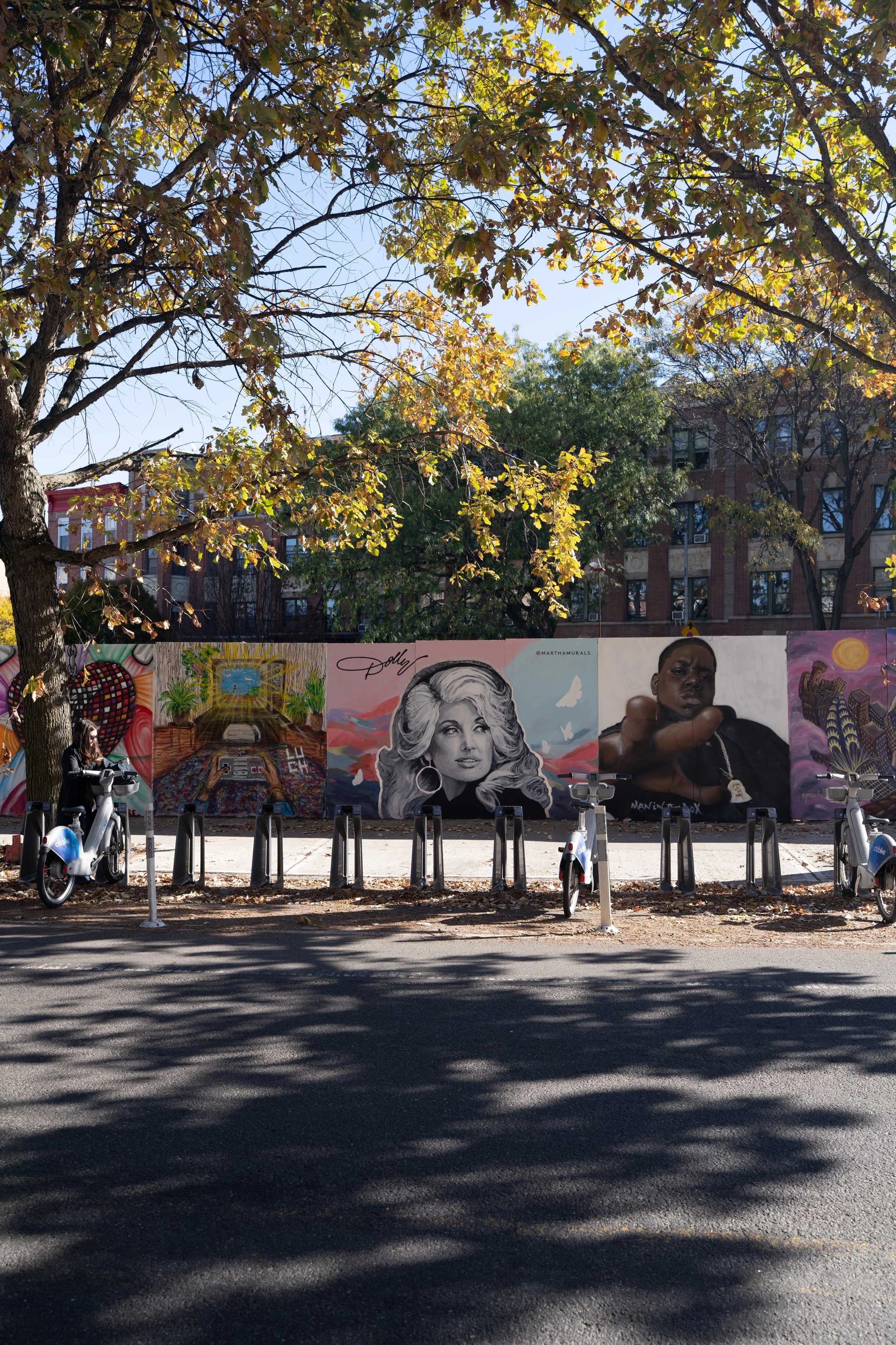 prospect-heights-street-with-portrait-mural.jpg