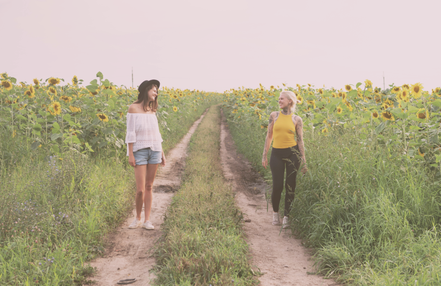 Two people walking together along a path through a sunflower field, representing support, partnership, and healing together.
