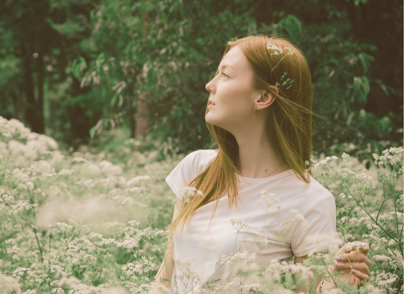 Person standing among white wildflowers and looking into the distance.