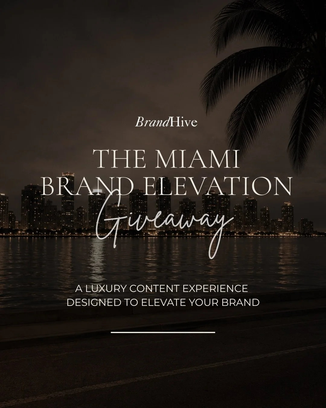 We wanted to create something more intentional than a typical giveaway. The kind of opportunity we wish more business owners had access to when building their brand. 

We created this giveaway for the brand that&rsquo;s ready to elevate everything&he