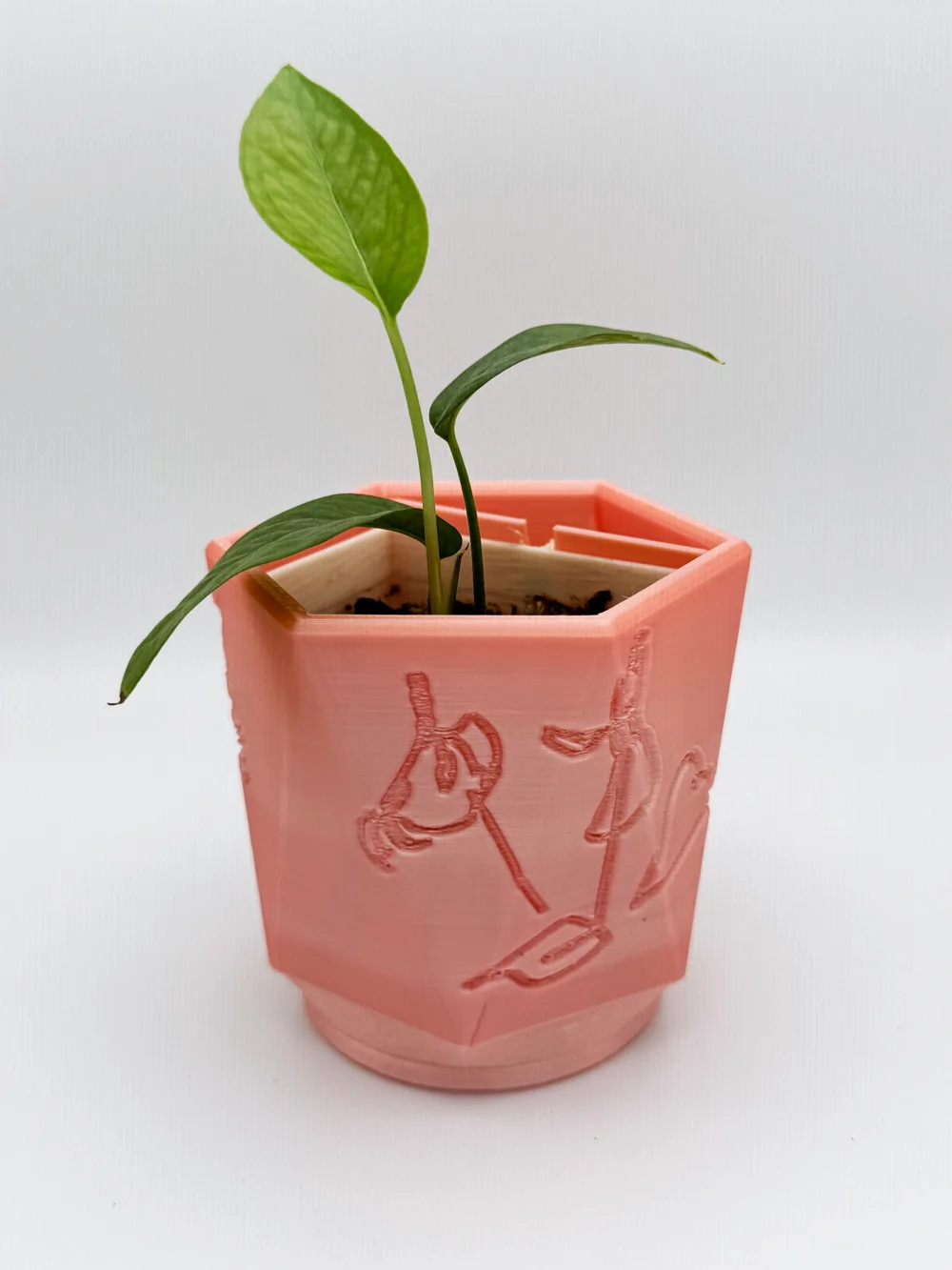 3D-printed sustainable self-watering beginner friendly planters  Make  Stuff Design