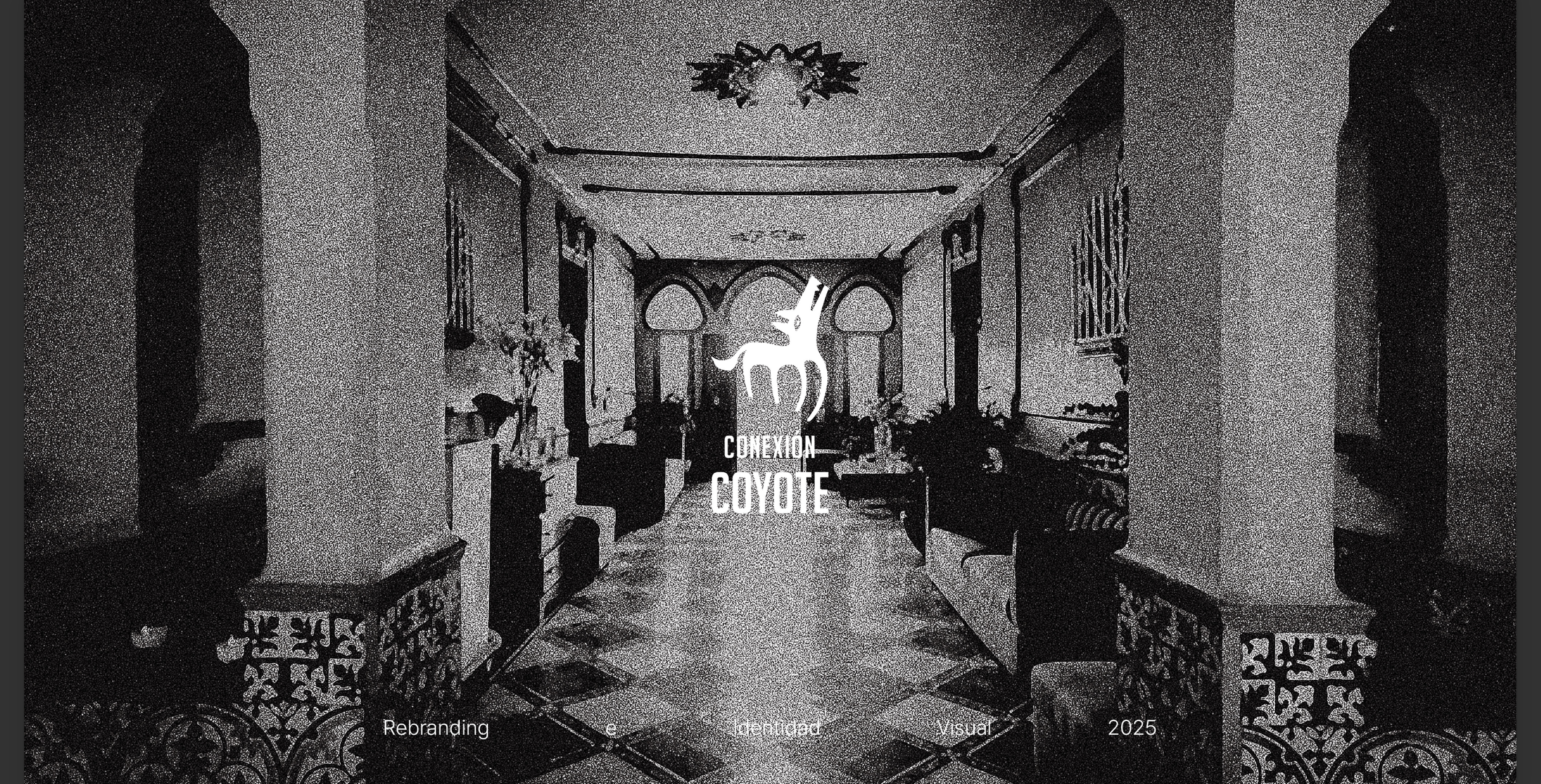 CONEXIÓN COYOTE - Rebranding