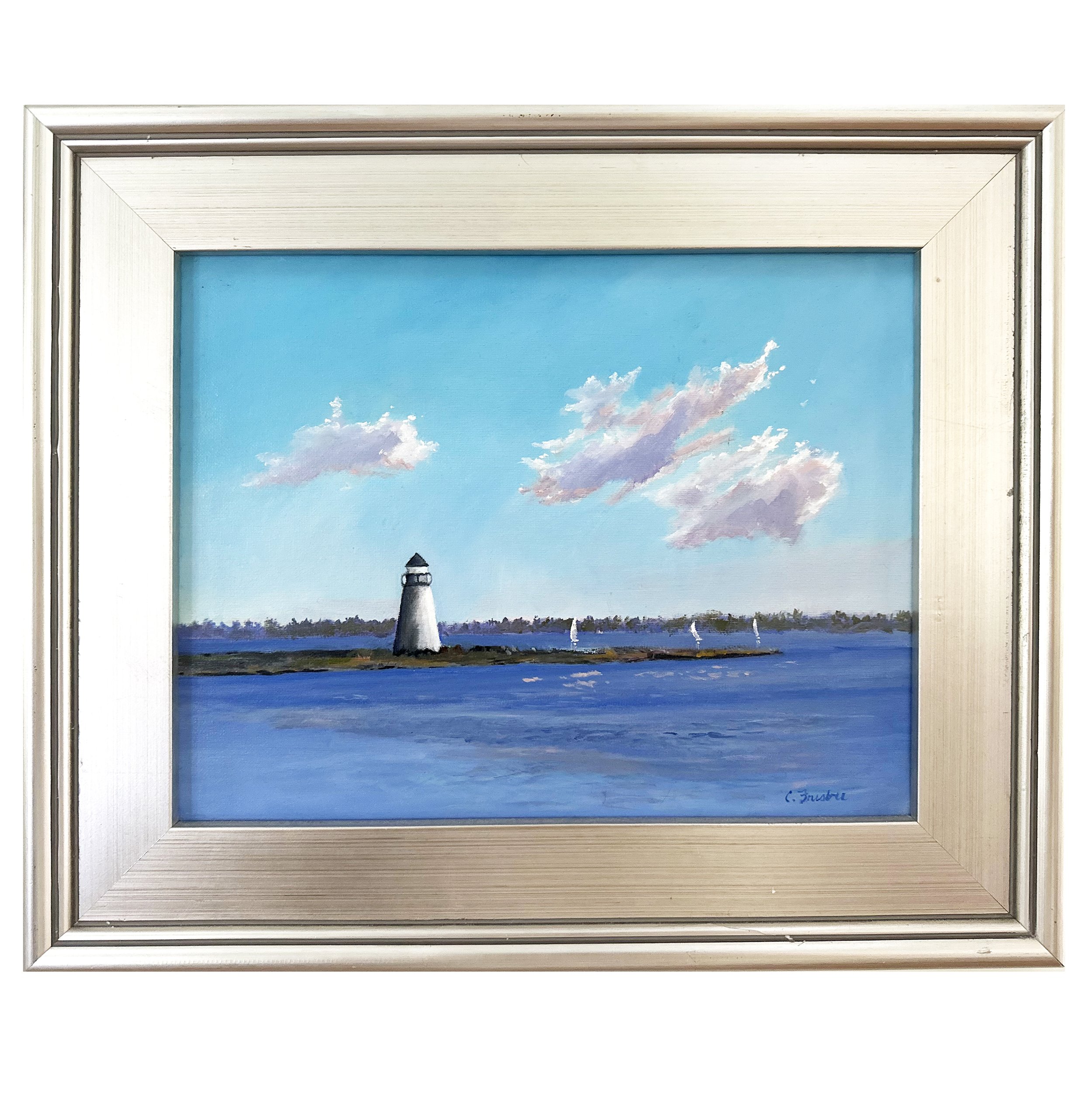 Bird Island Framed for website.jpg