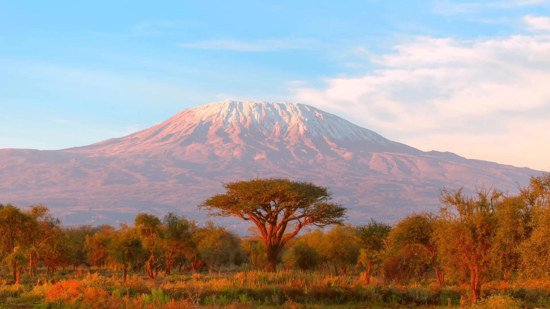 Kilimanjaro - September 14 - 22, 2027