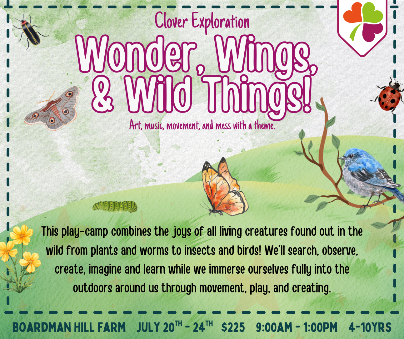 Wonder, Wings, &amp; Wild Things!