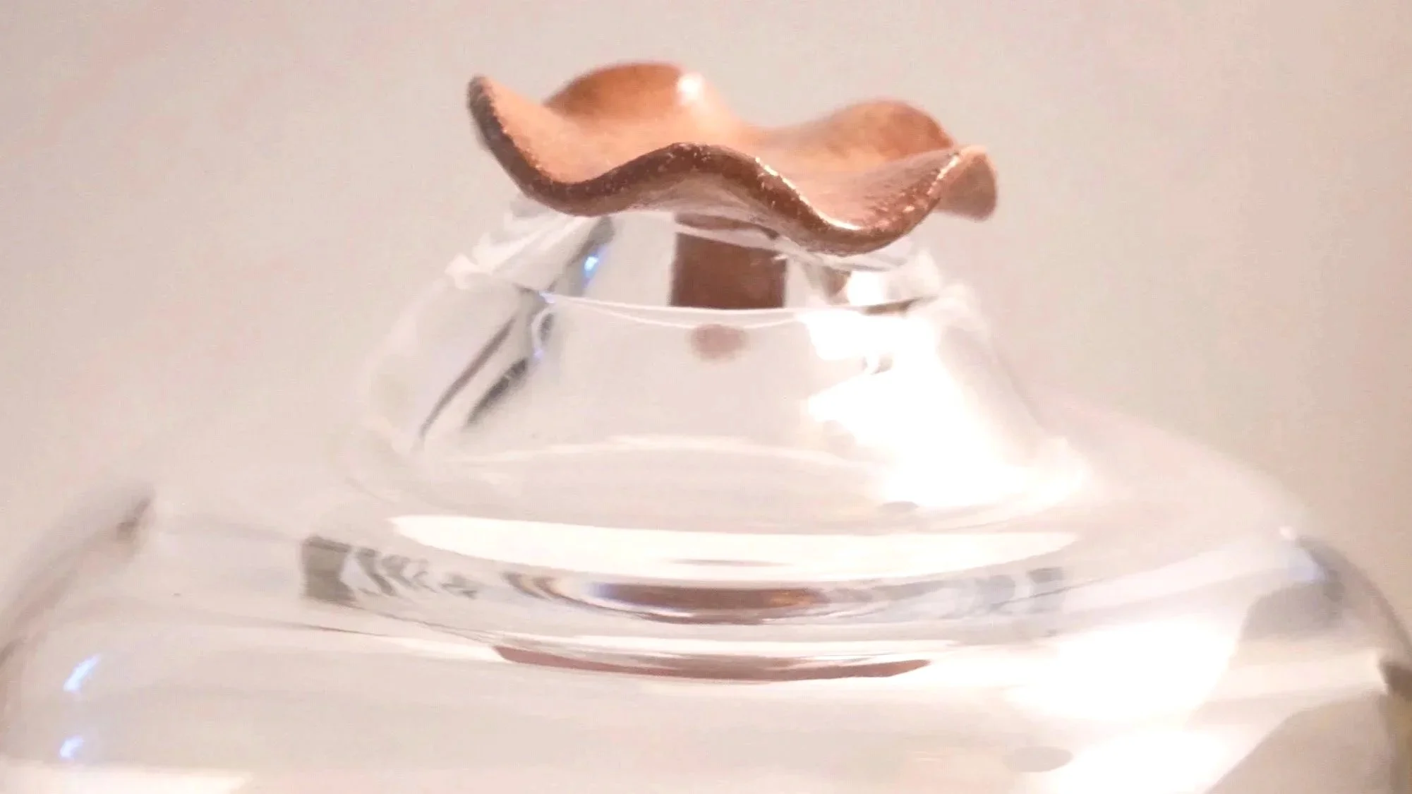 Eine Glasglocke für den Nachhaltigen Garten mit einem terrakottafarbenen Deckel.