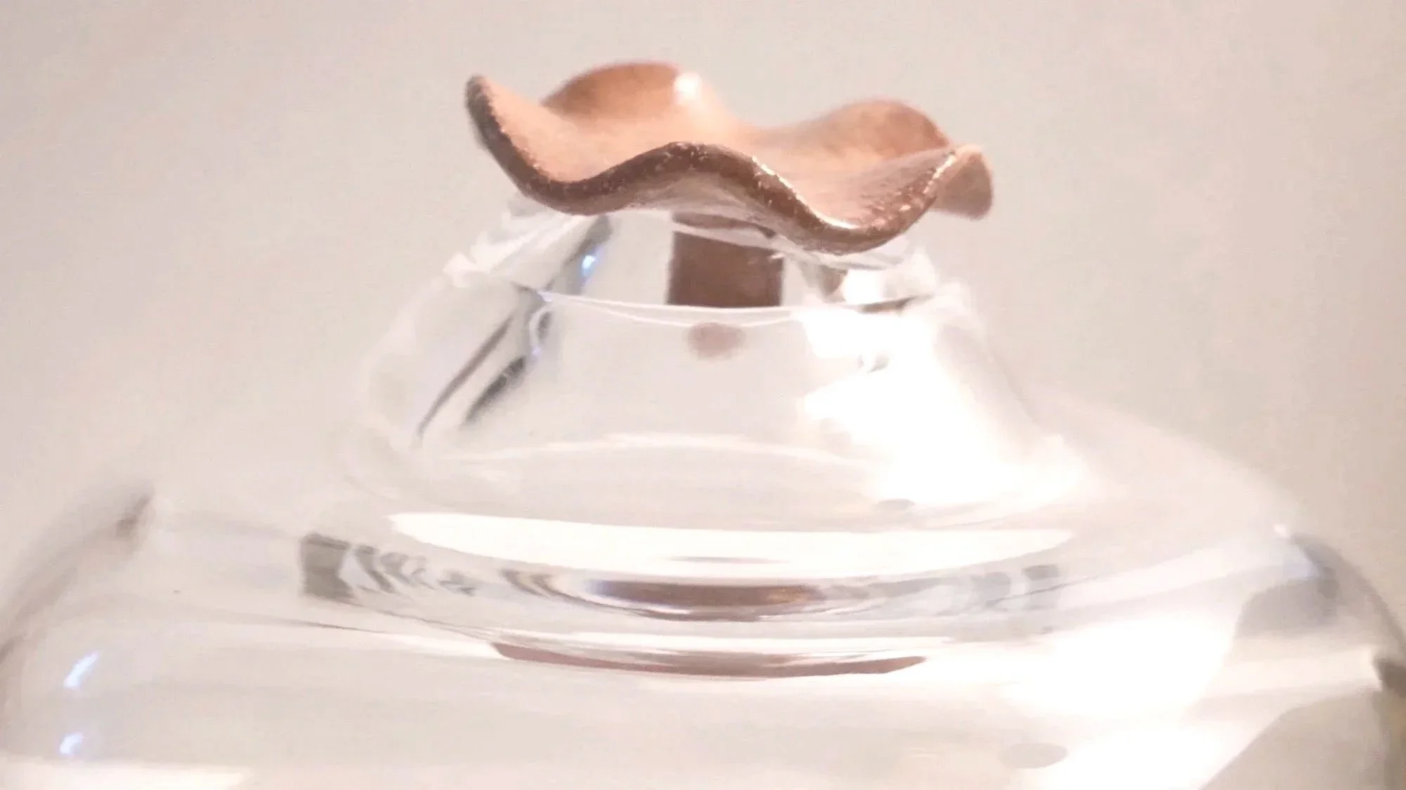 Eine Glasglocke für den Nachhaltigen Garten mit einem terrakottafarbenen Deckel.