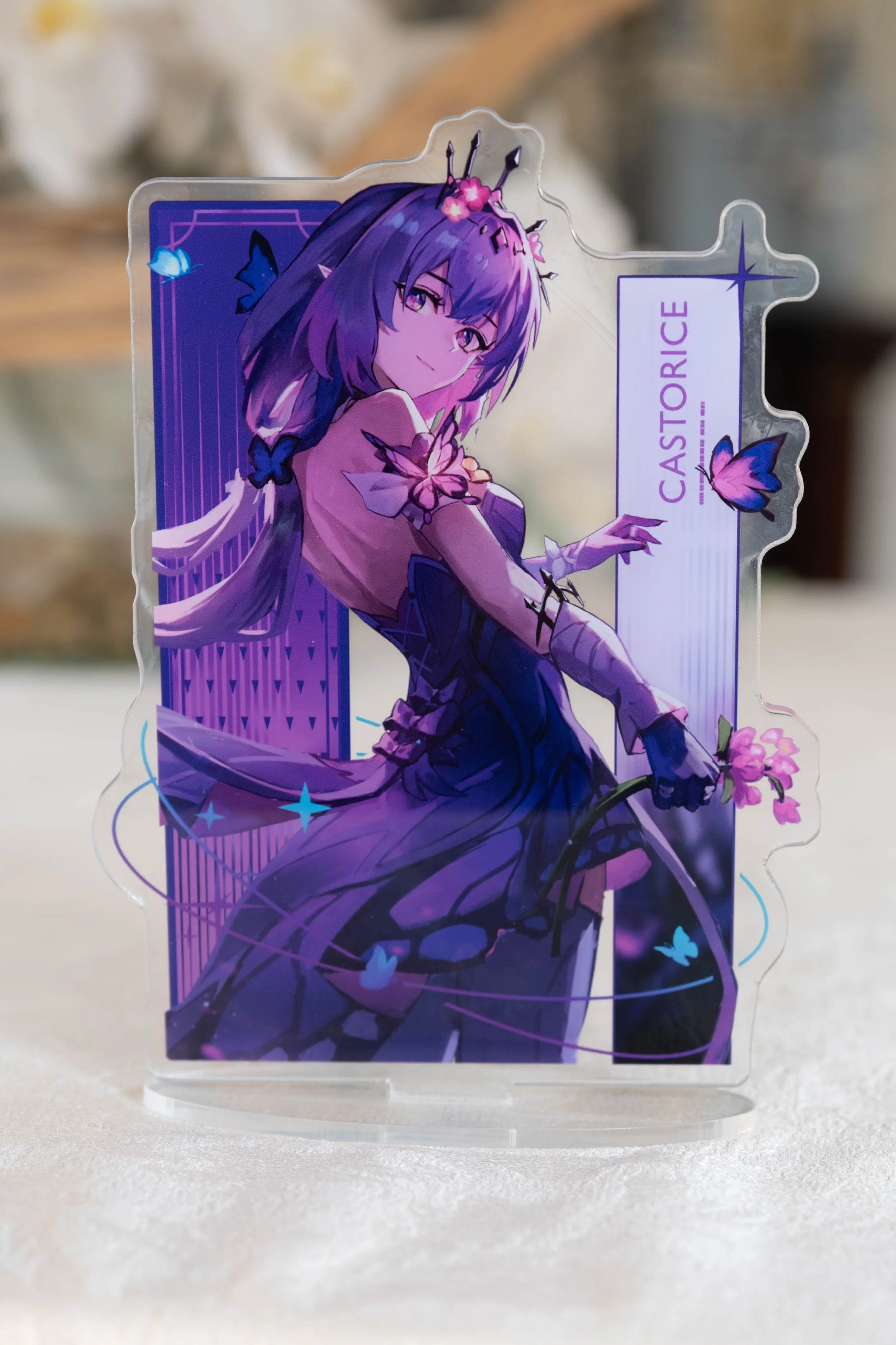 DSCF0517-Small_Standee-1.jpg