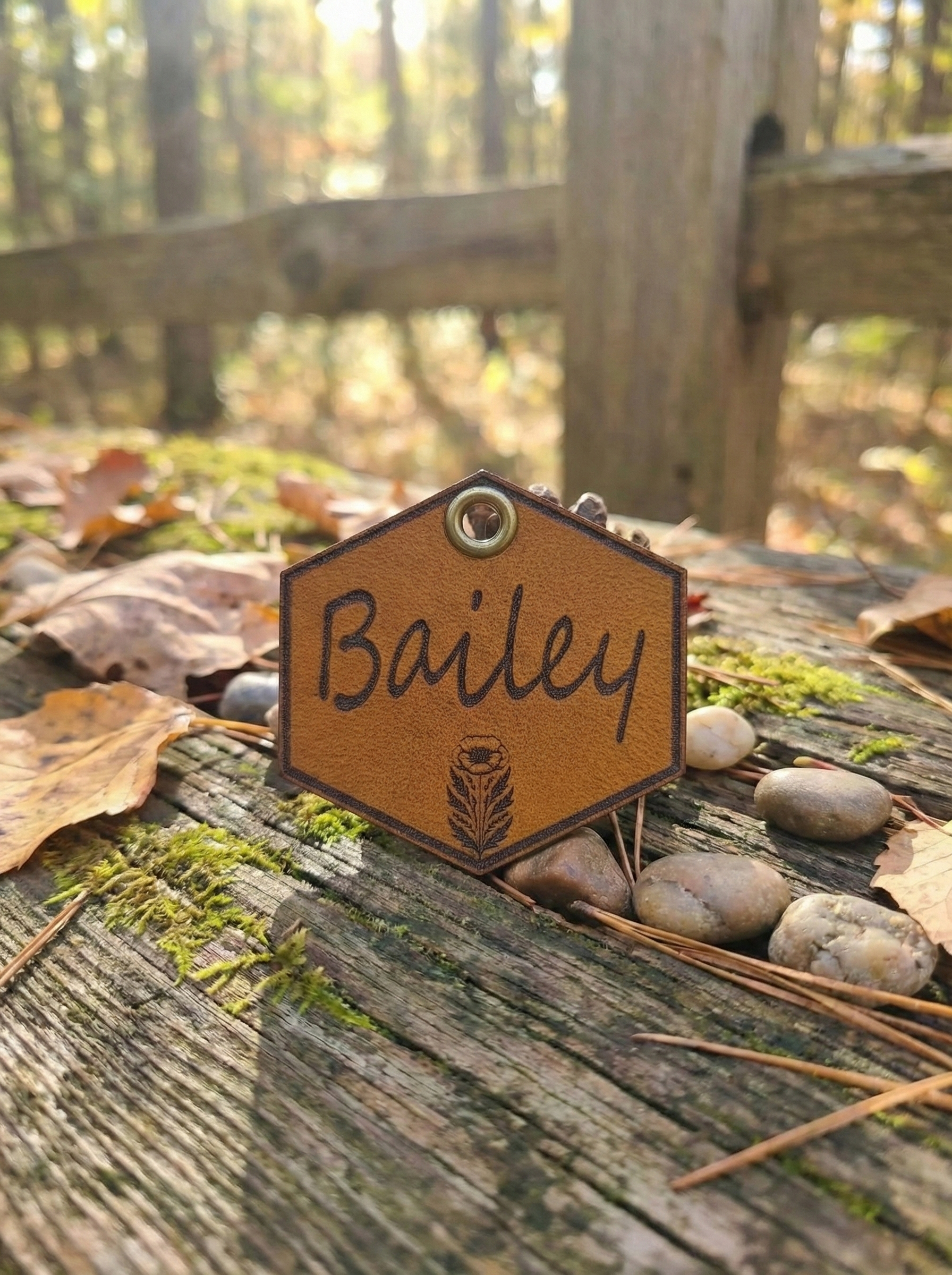 bailey name side in the woods.png