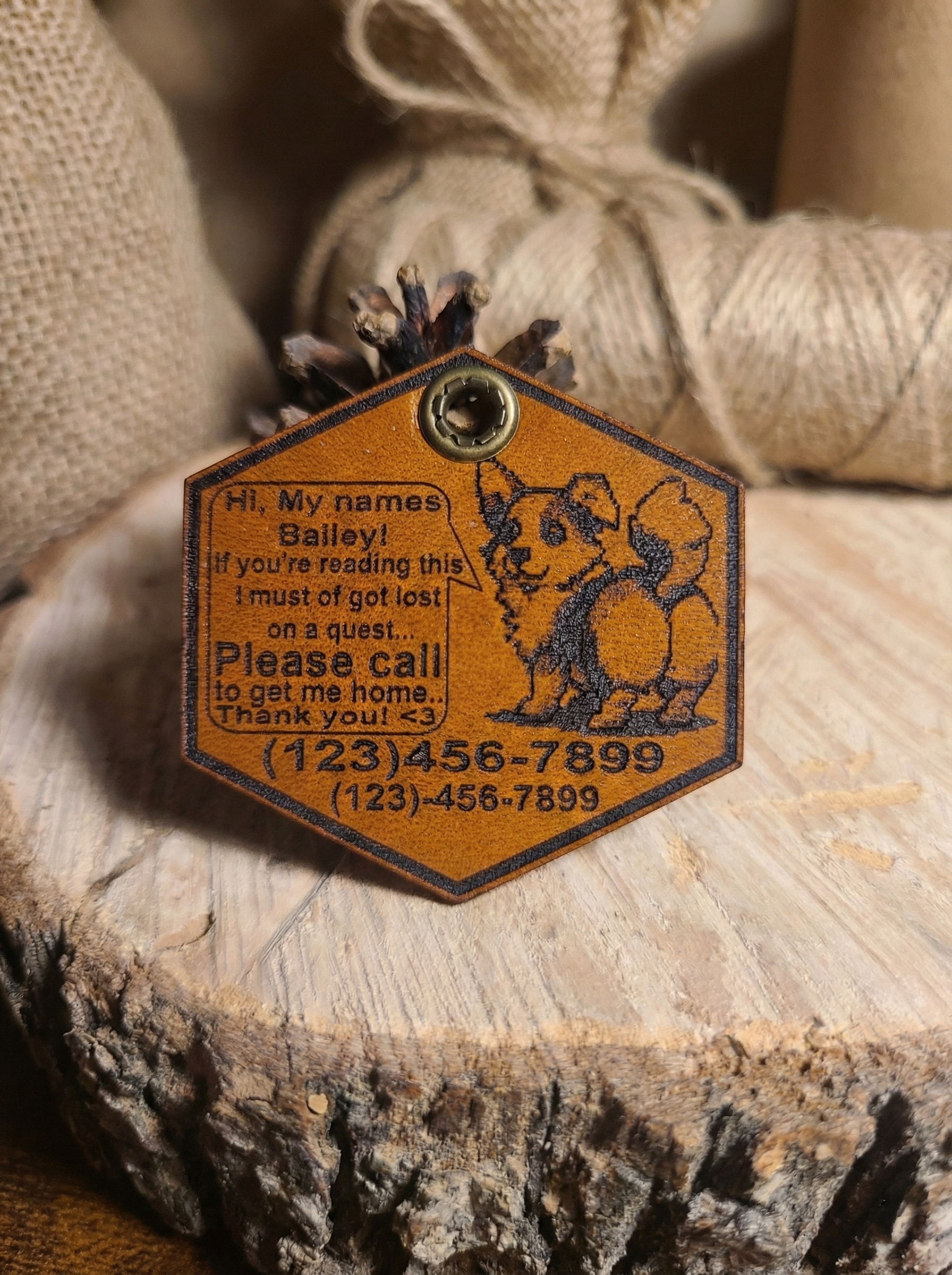 Bailey pixel art side mockup.png