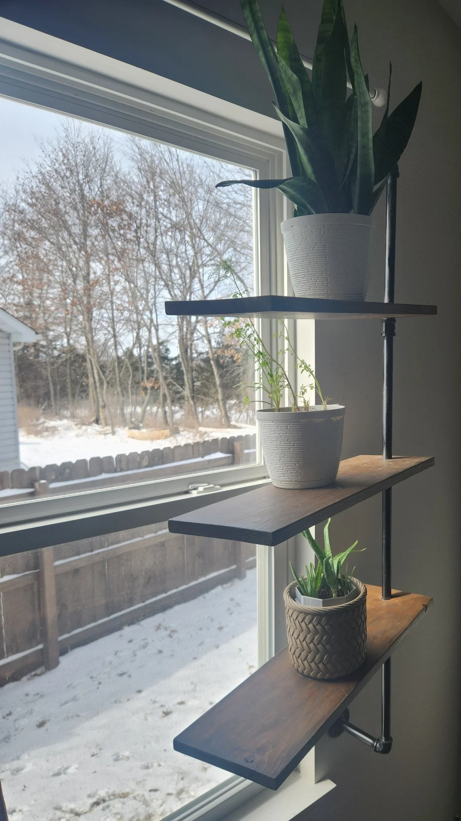 shelves on window.webp