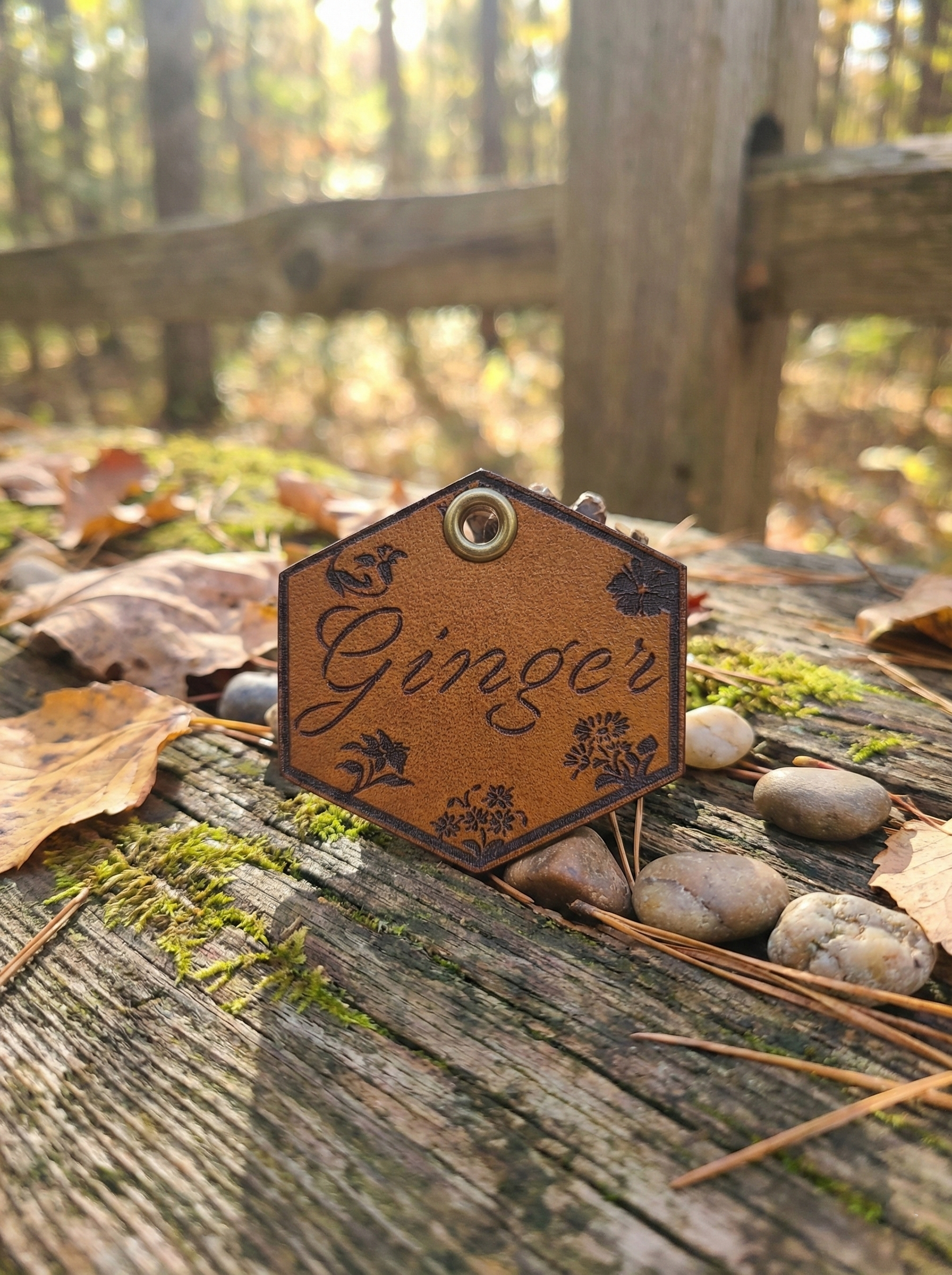 Ginger name side in the woods.png