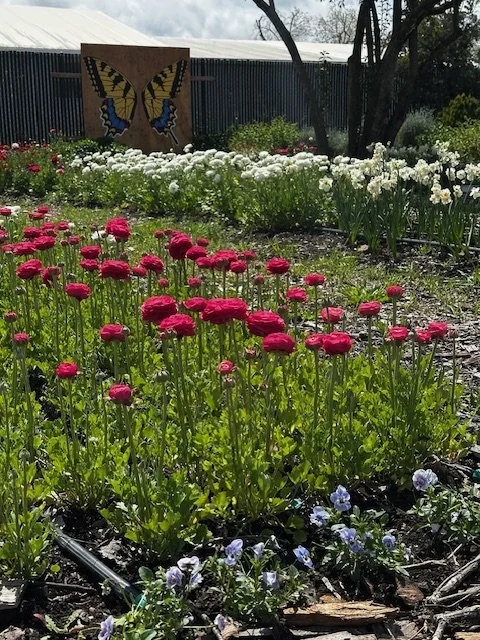 Spring Mixer at Artist's Garden Oasis