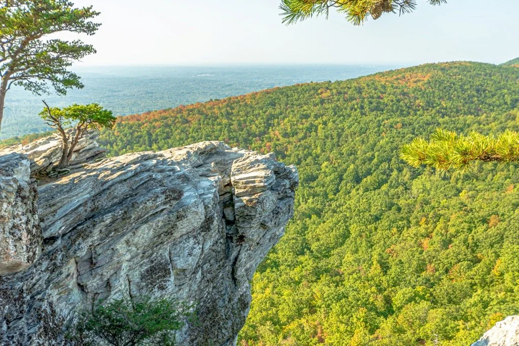 View from a rocky cliff overlooking a dense, green forest with a distant horizon.