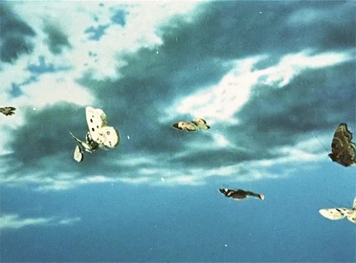 f34e84da1adbccb4c610a60d0148cf86.gif