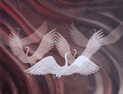 0a35a32d22d784797cc88b7726f765f5.gif