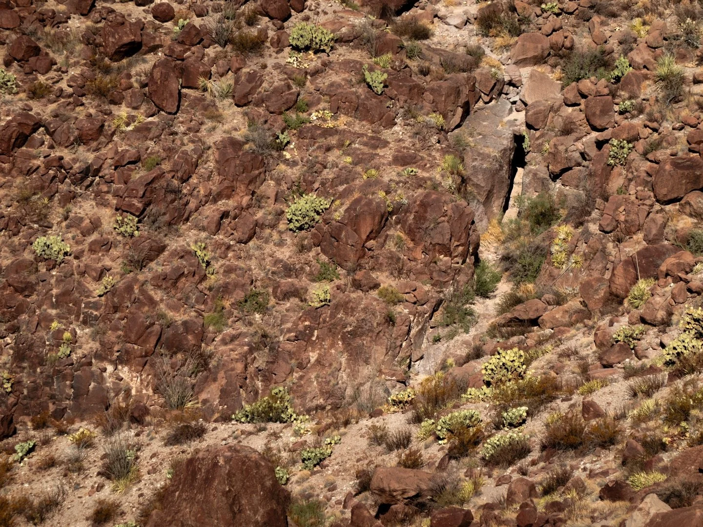 Noodling on this photo I took almost two years ago during my @willowhouse_  residency. I love the movement in the topography. Feels like fabric to me. Maybe it will be soon 🤔