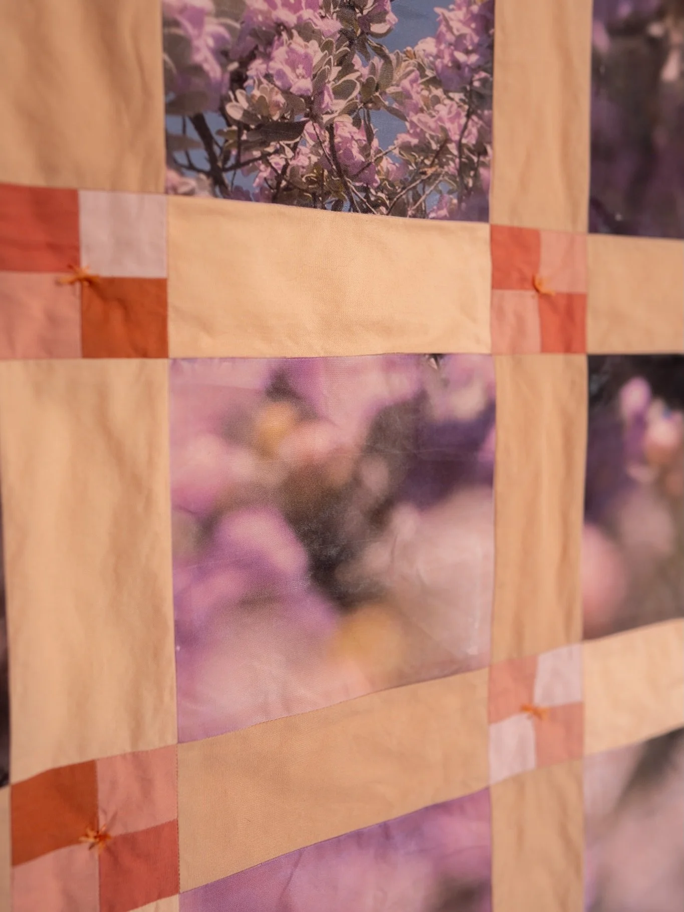 In the Texas Hill Country, Texas Sage blooms before the rain &mdash; not a guarantee, but a sign. And in drought country, signs are everything. This quilt was made from photographs of the sage in our yard in Leakey where we have felt the effects of d