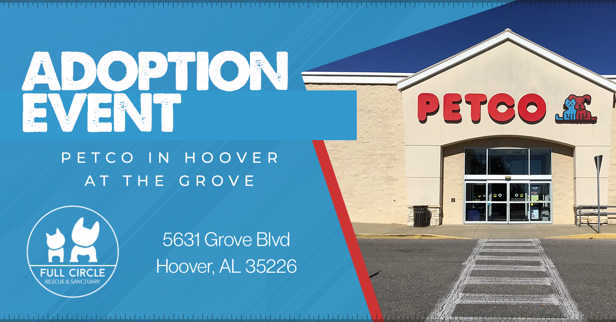Petco- The Grove Hoover
