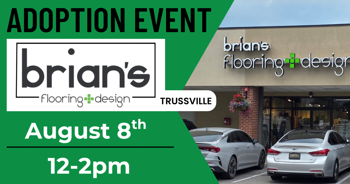 Brian’s Flooring Adoption Event