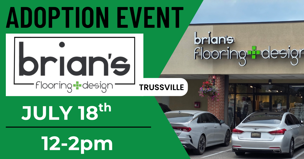 Brian’s Flooring Adoption Event