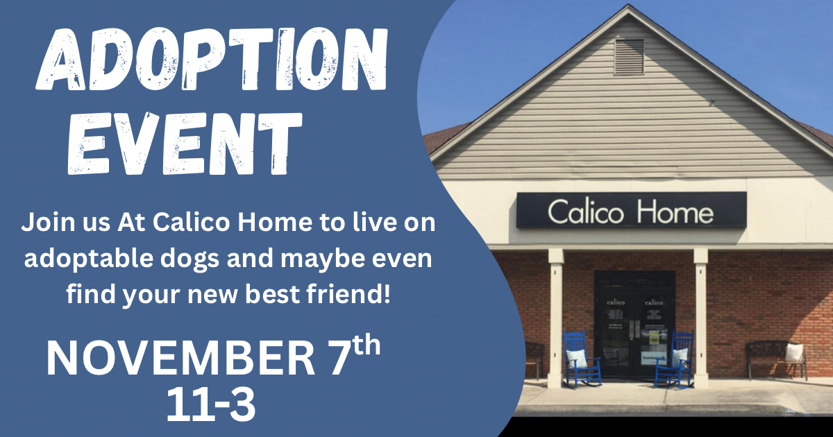 Calico Home
