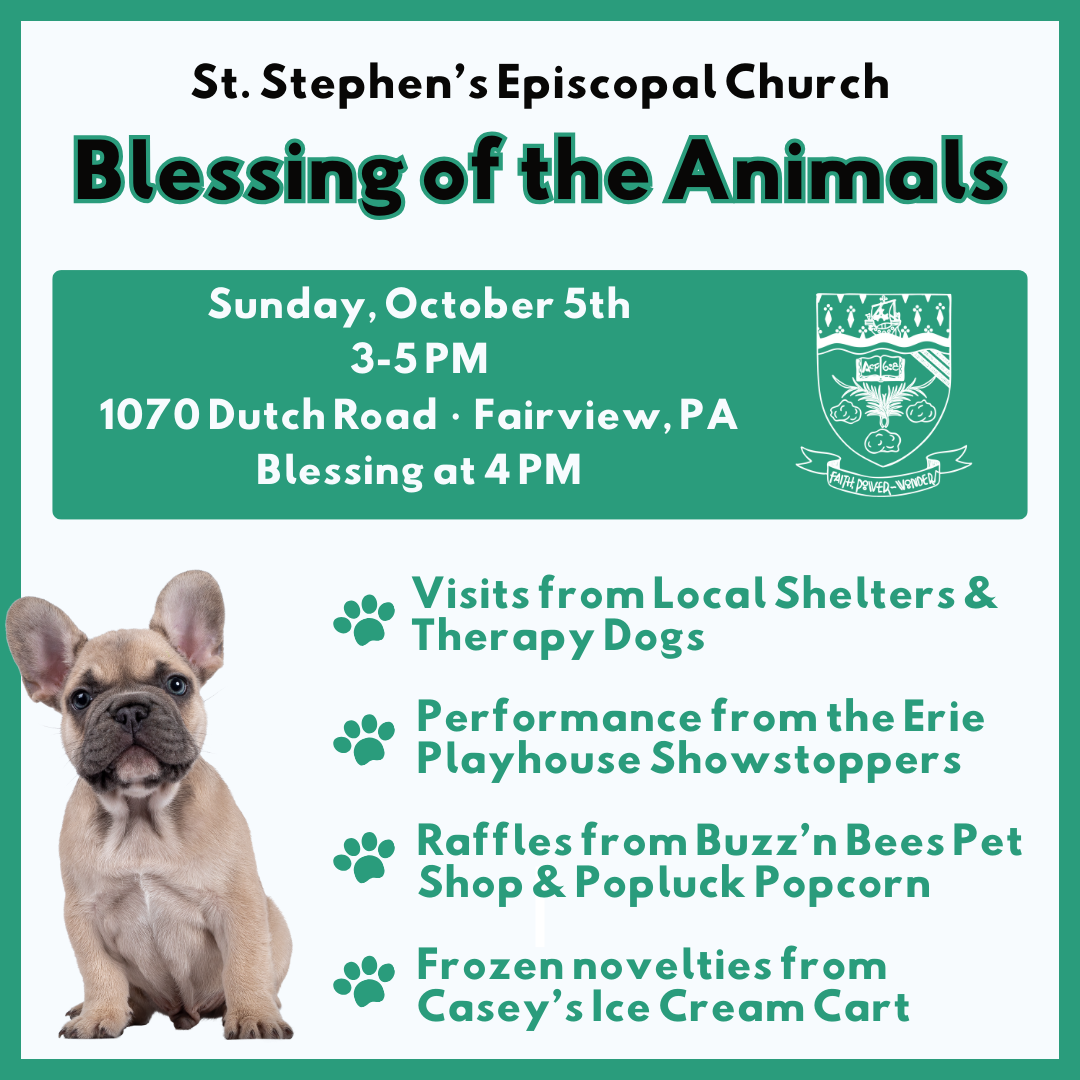 Blessing of the Animals