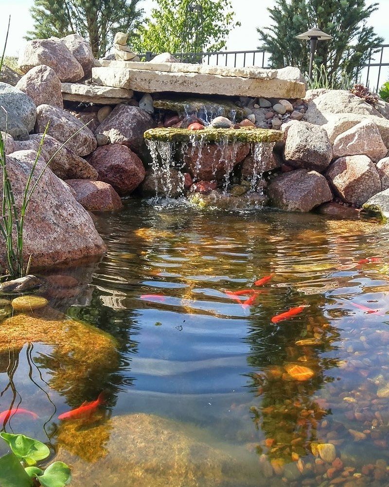 Looking for a calming fish pond or water feature to elevate your outdoor space? We got you!