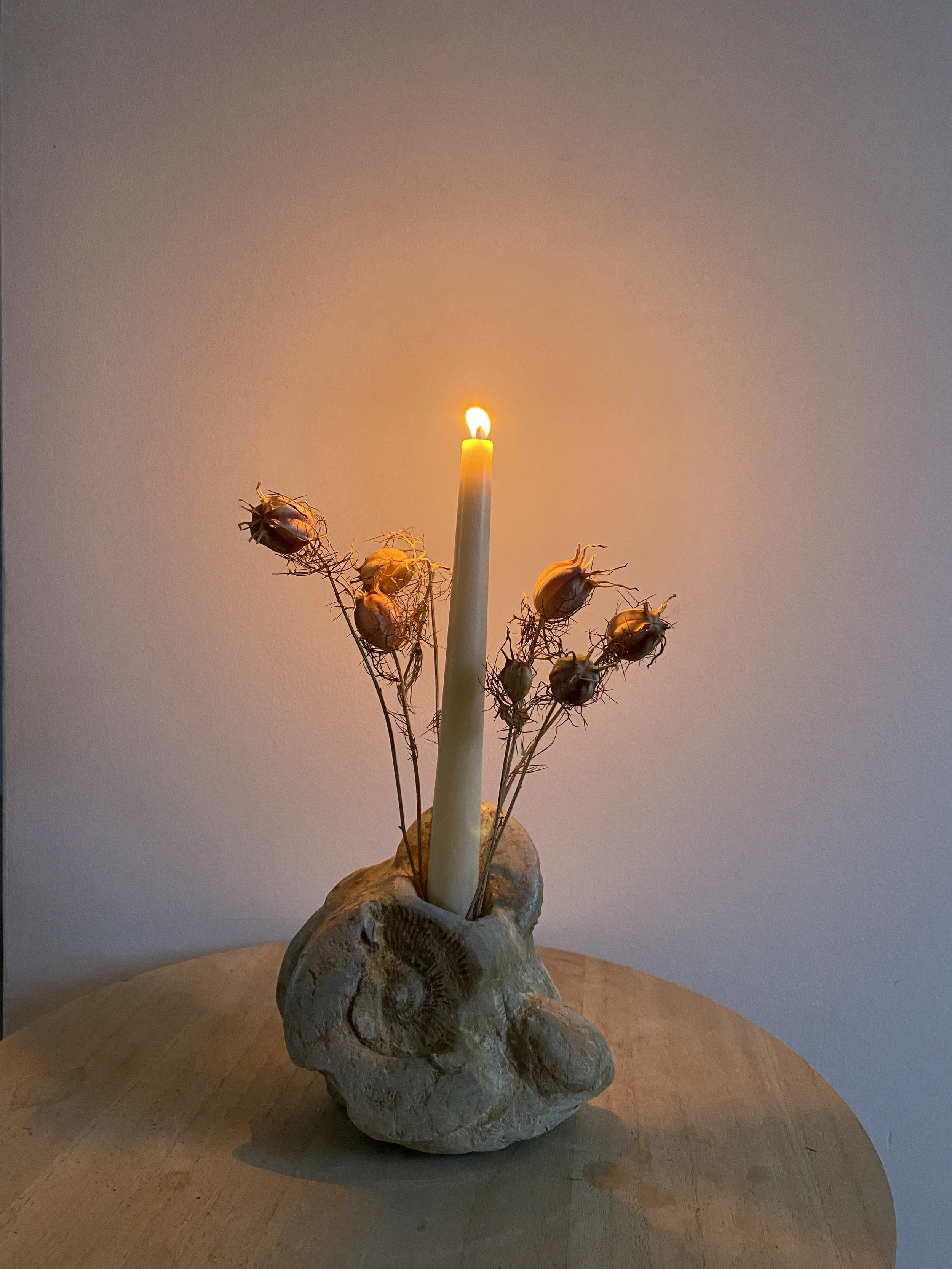 'Ammonite Cluster' - 2025. 
£135.00