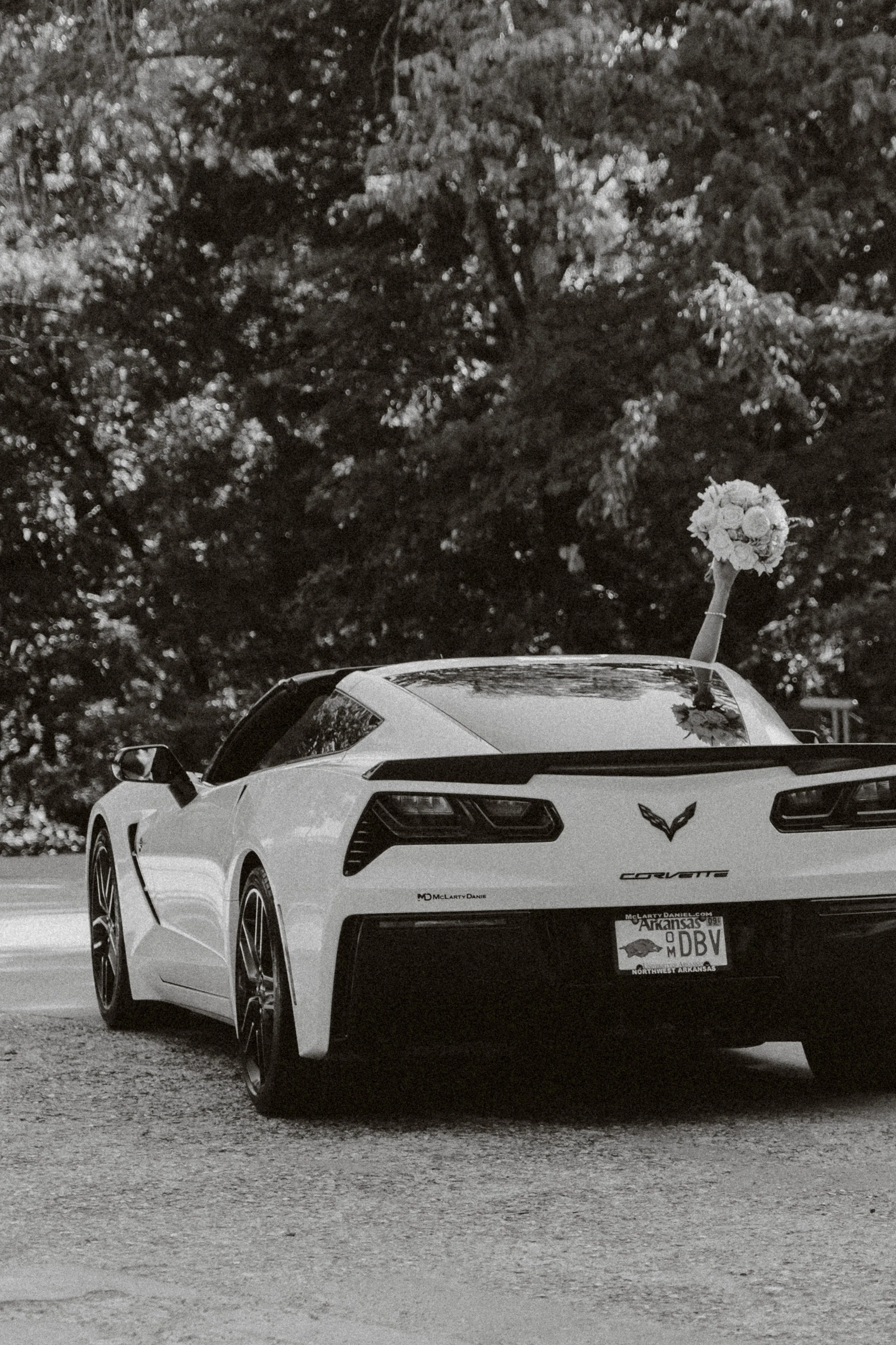 Abby & Cade Previews-241.jpg